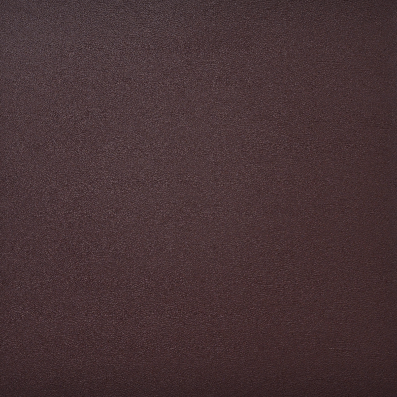 PINTO – # 746 MERLOT