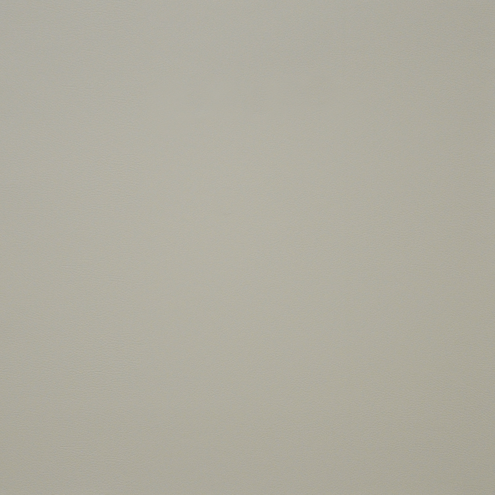 PINTO – # 736 IVORY