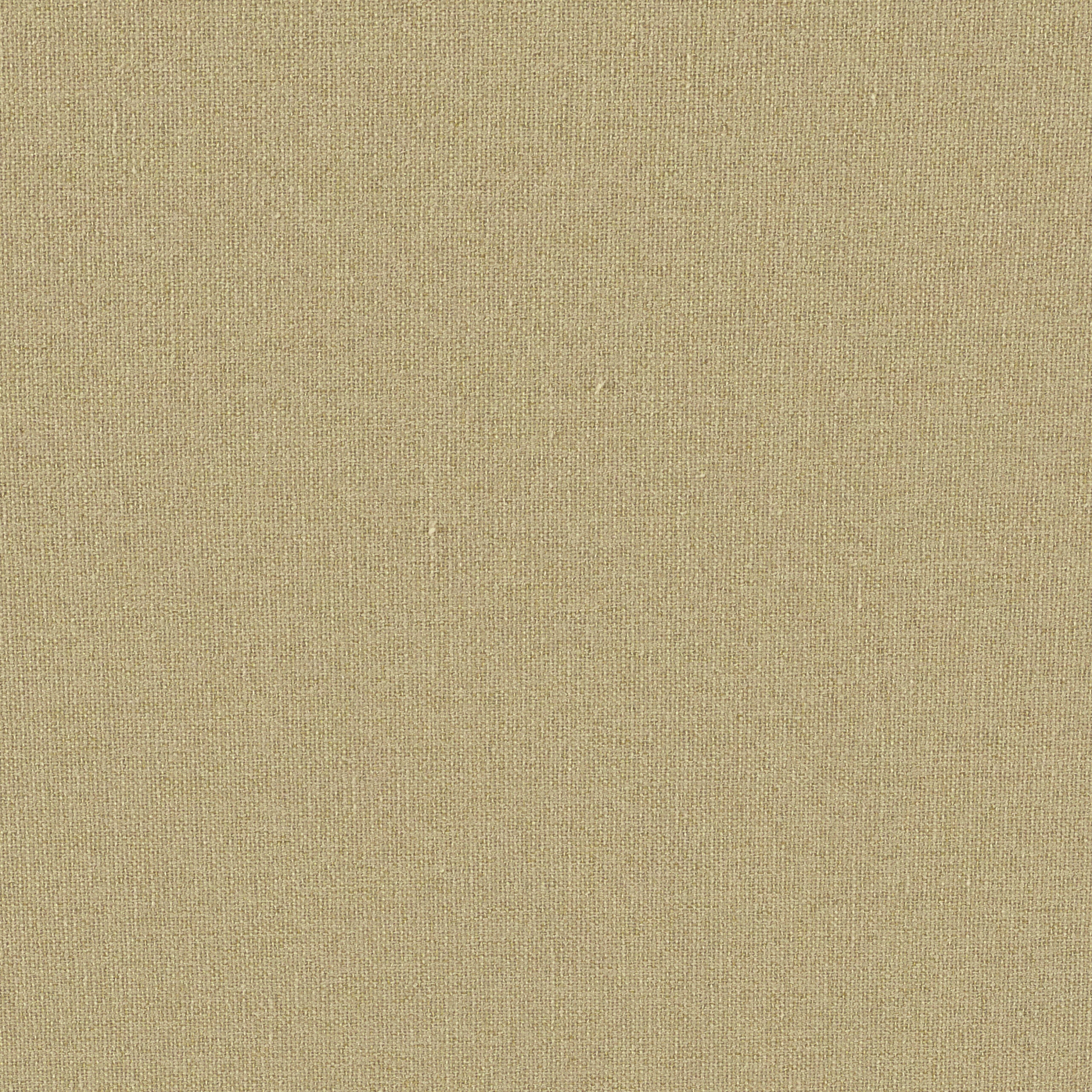 UMBRA – # 260 OLIVE