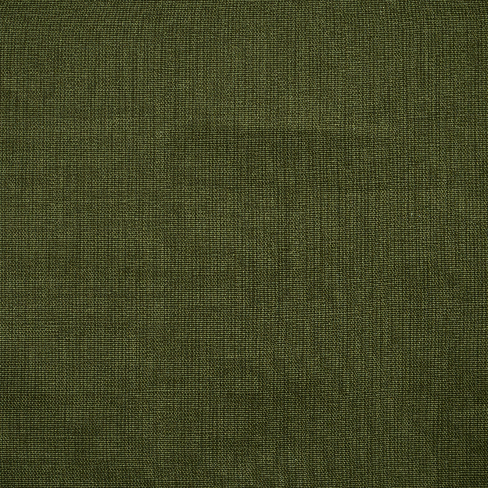 BARCLAY – # 339 OLIVE