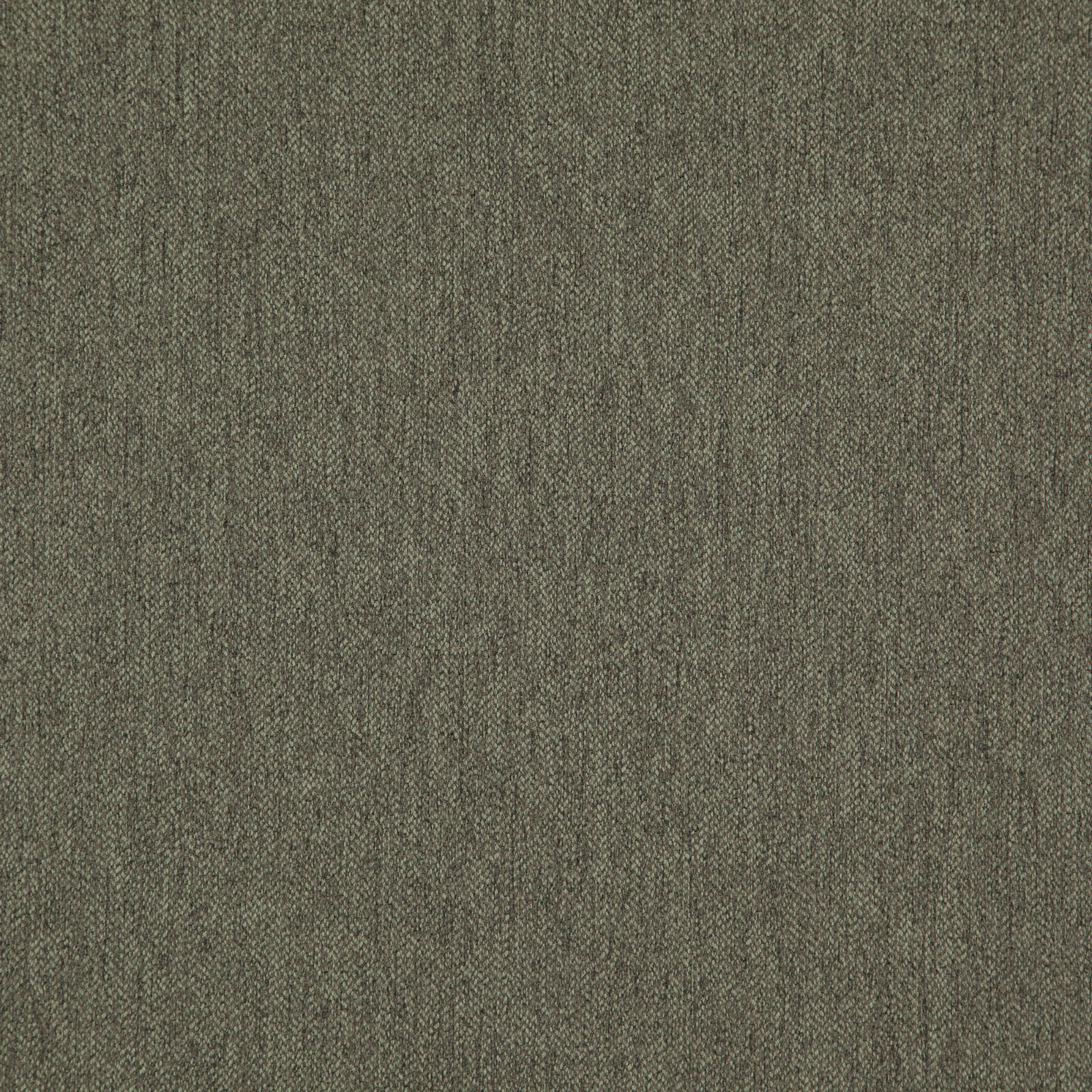 TIMEPIECE – # 29 BARK