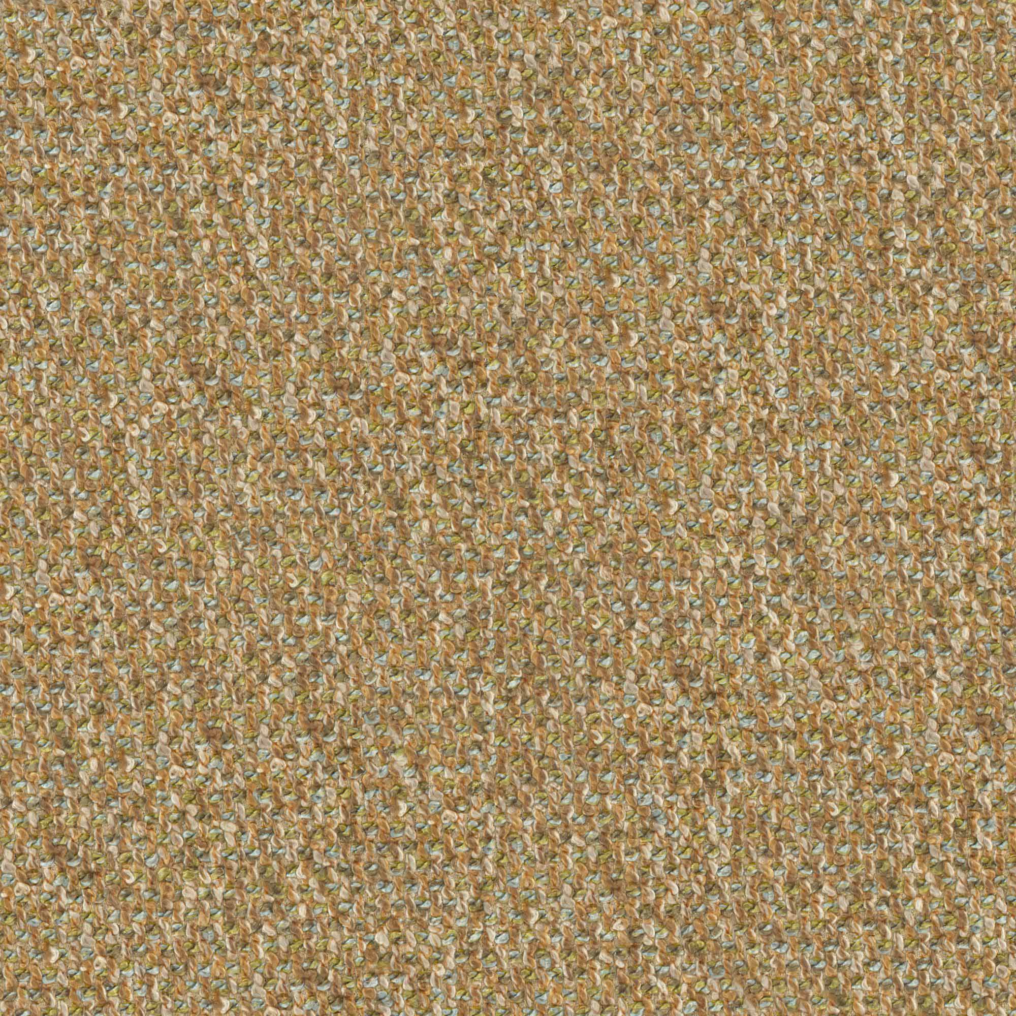 YORKIE – # 542 CHUTNEY