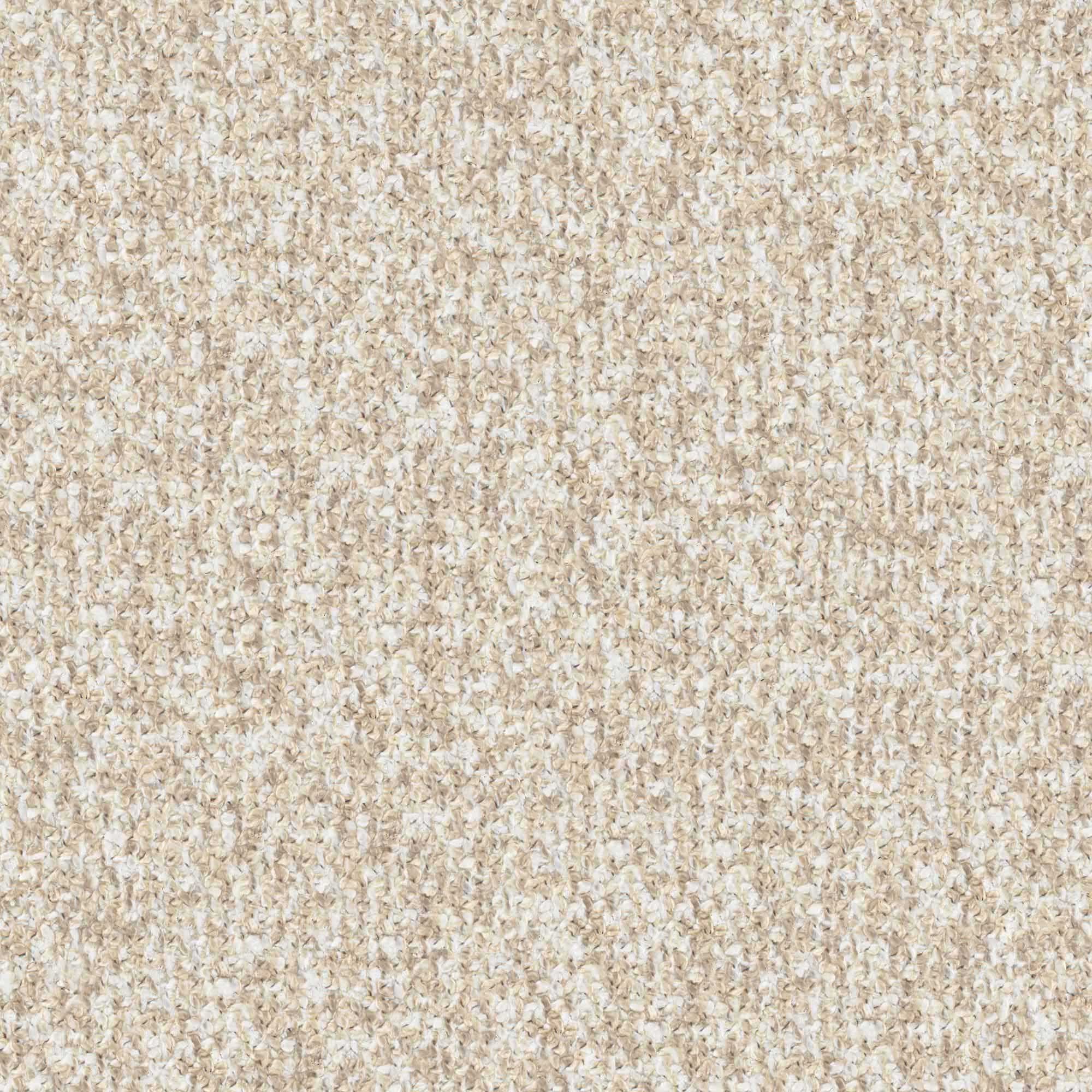 YORKIE – # 715 ALMOND