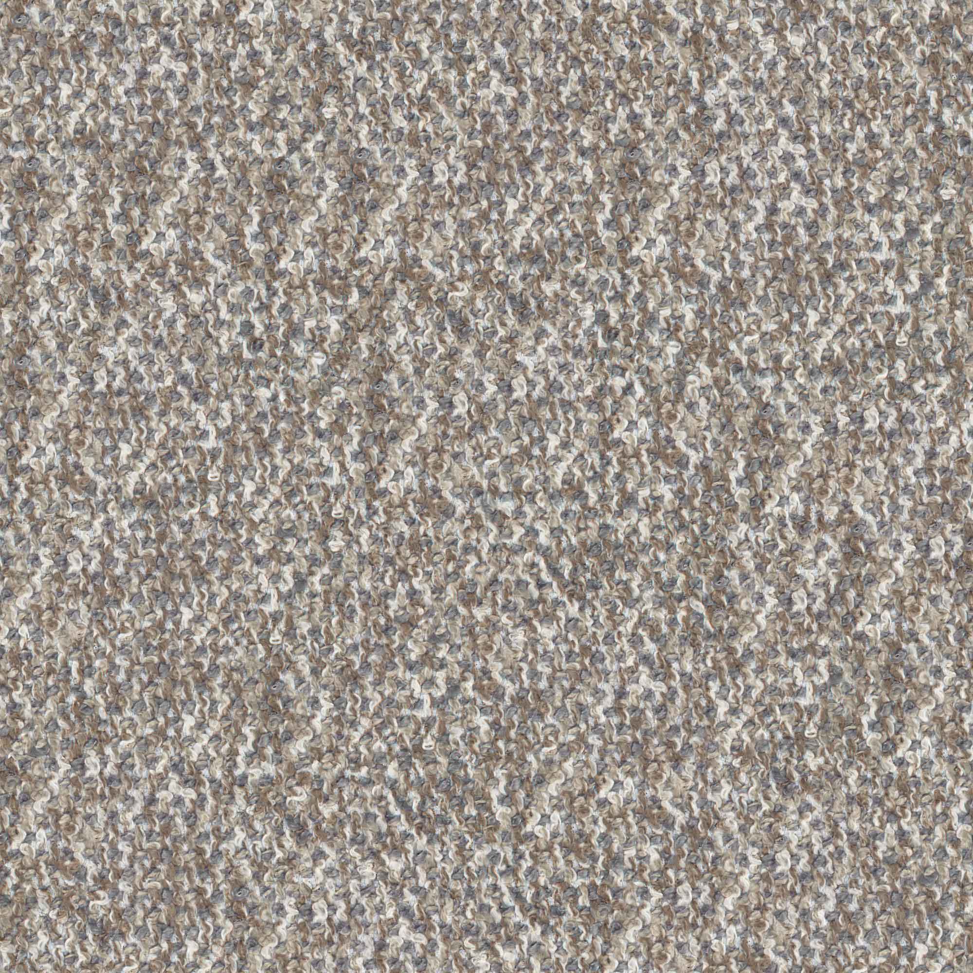 YORKIE – # 745 FOSSIL