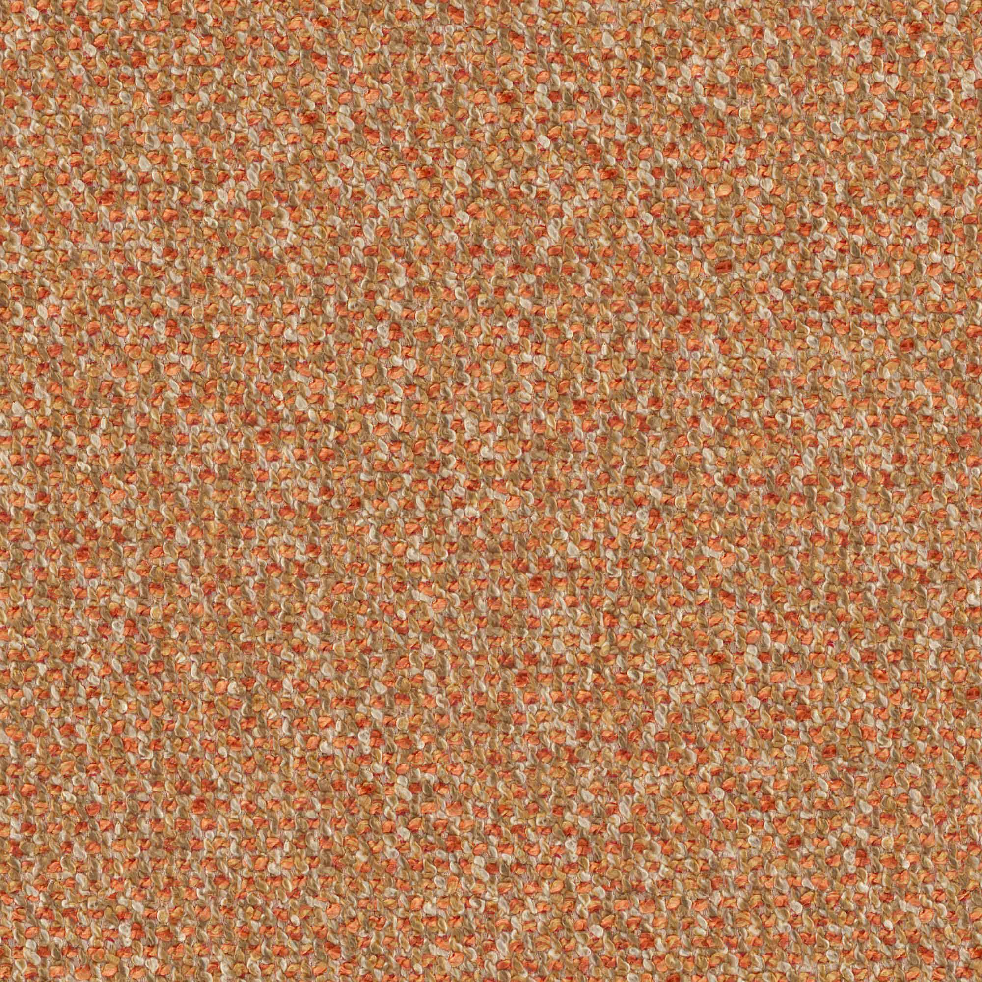 YORKIE – # 903 SPICE