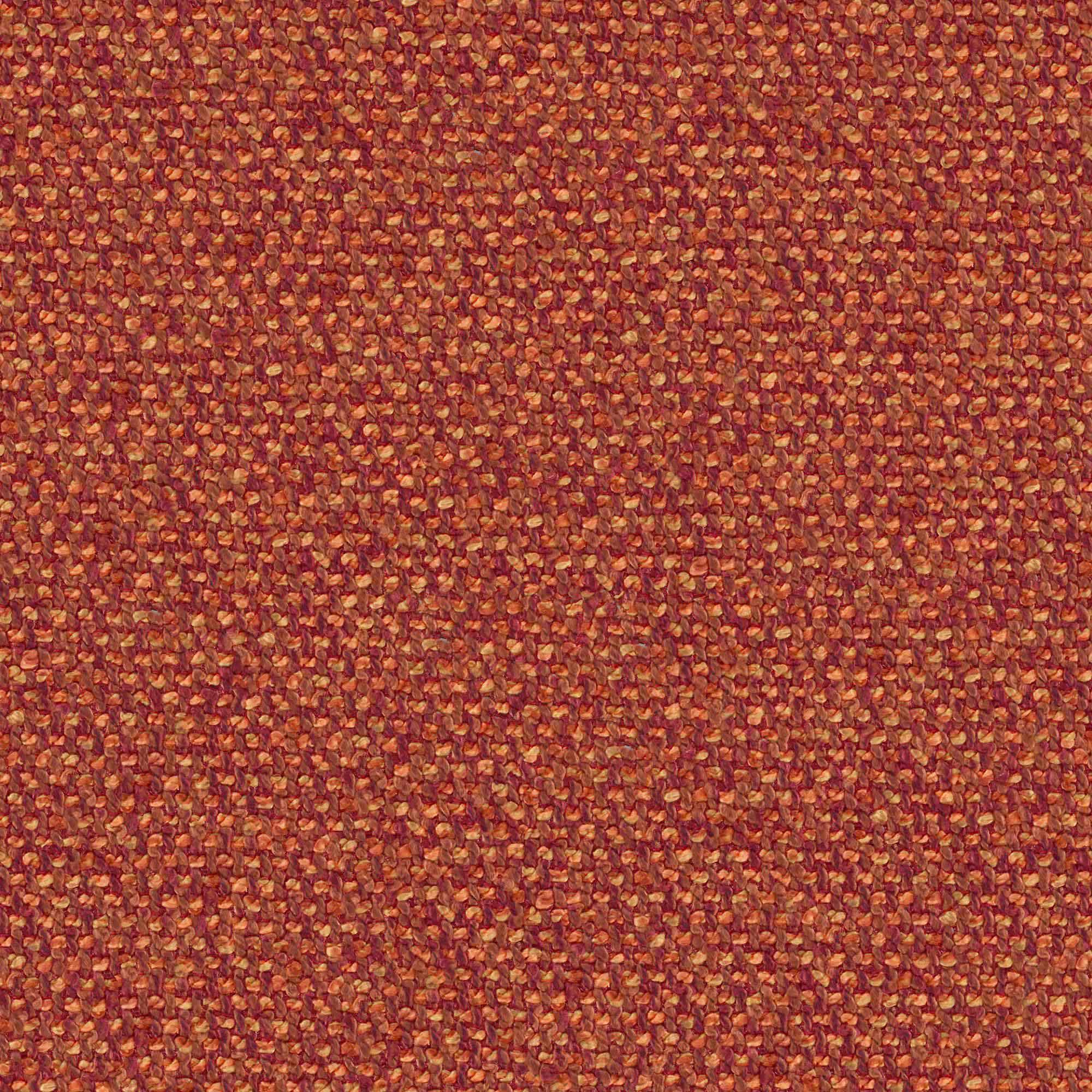 YORKIE – # 908 MERLOT