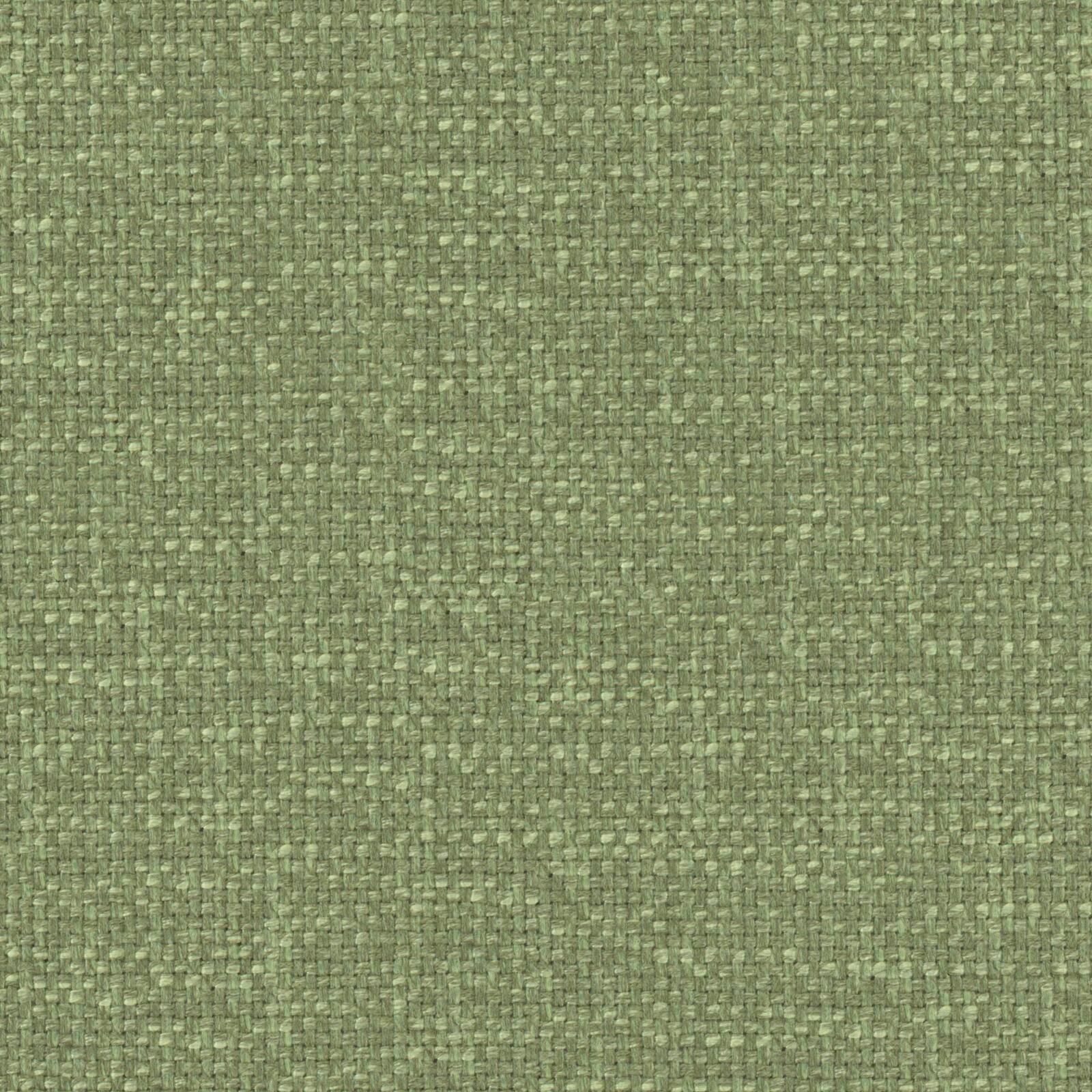 SWIZZLE – # 534 BASIL