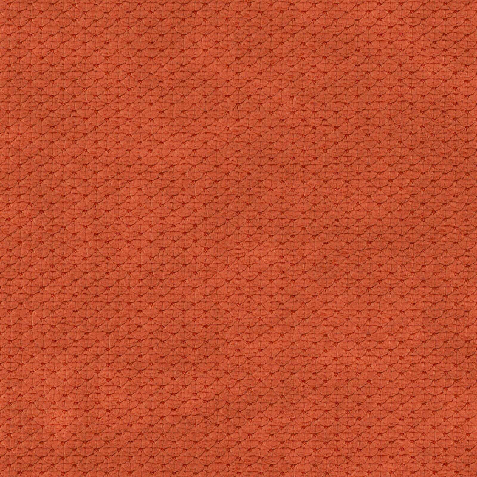 JAFFA – # 905 TERRA