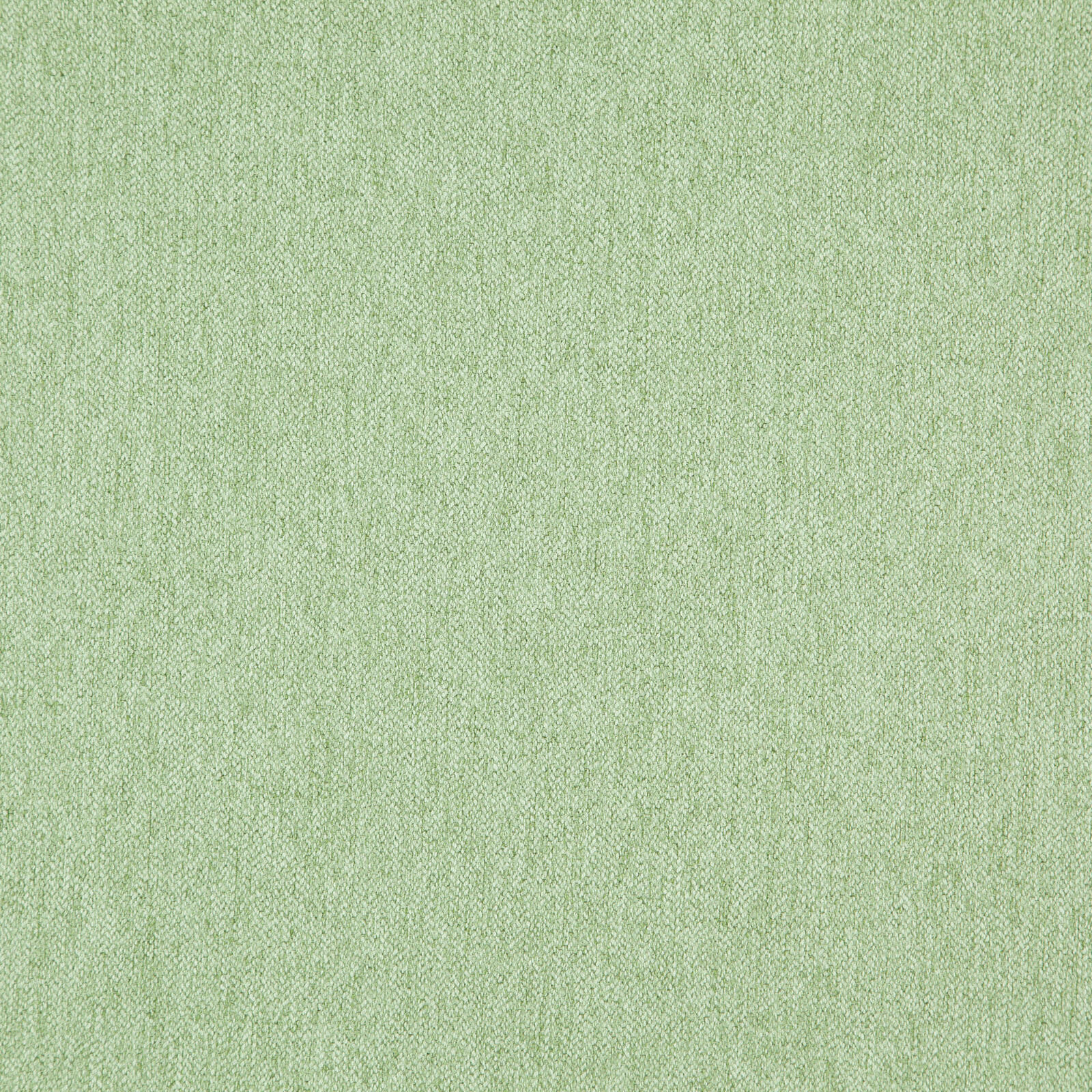 TIMEPIECE – # 13 LETTUCE