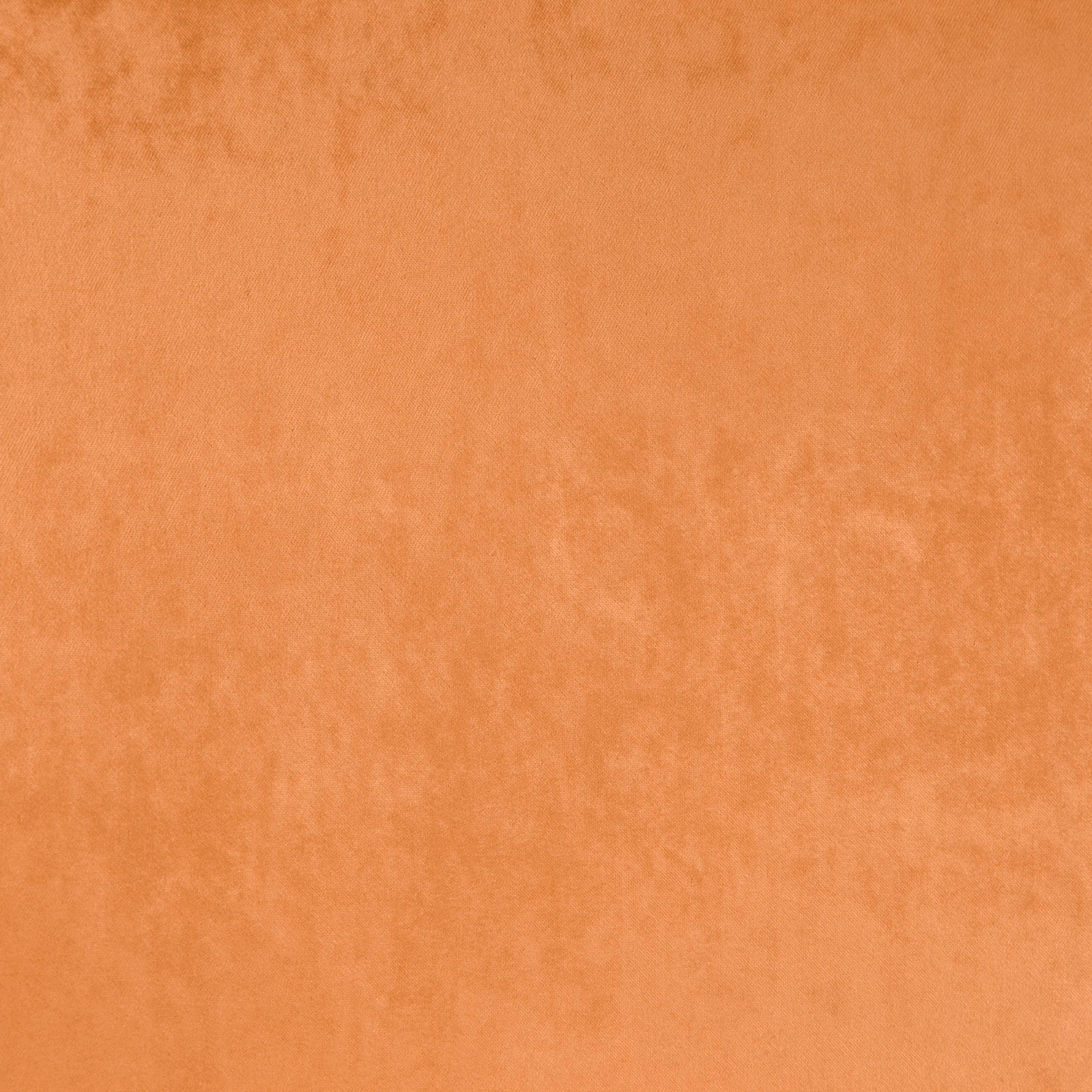 ZURICH – # 50 APRICOT