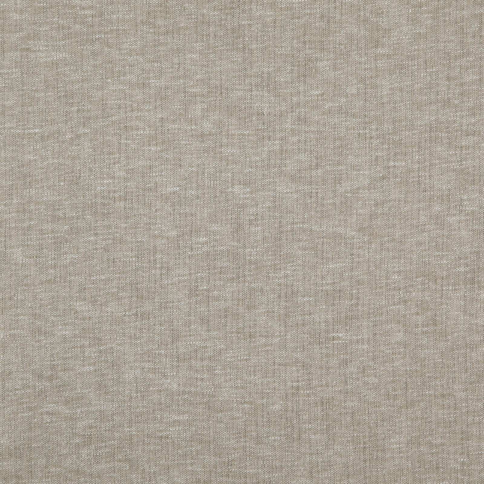CLOUD – # 09 FUNGHI