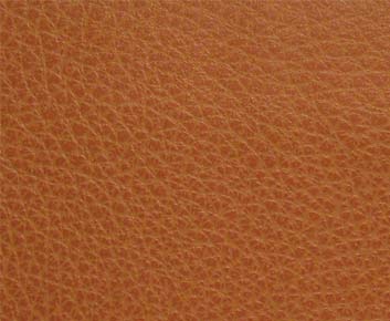 CANYON(CONTRACT VINYL) – # 009 PUMPKIN