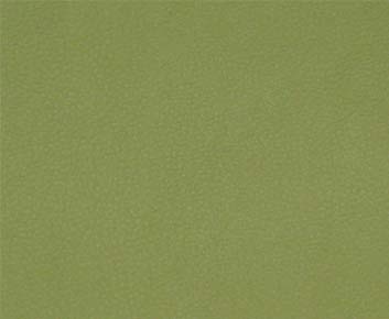 PERSUASION – # 011 CITRONELLA