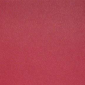 ESPRIT – # 054 RASPBERRY