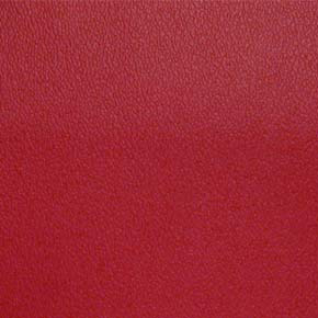 ESPRIT – # 014 CANDY APPLE