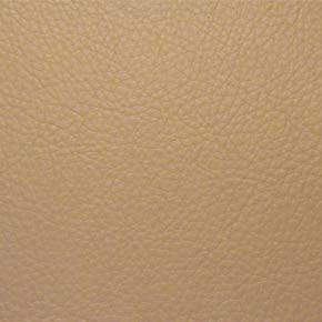 CLASSIC(CONTRACT VINYL) – # 009 BUFF