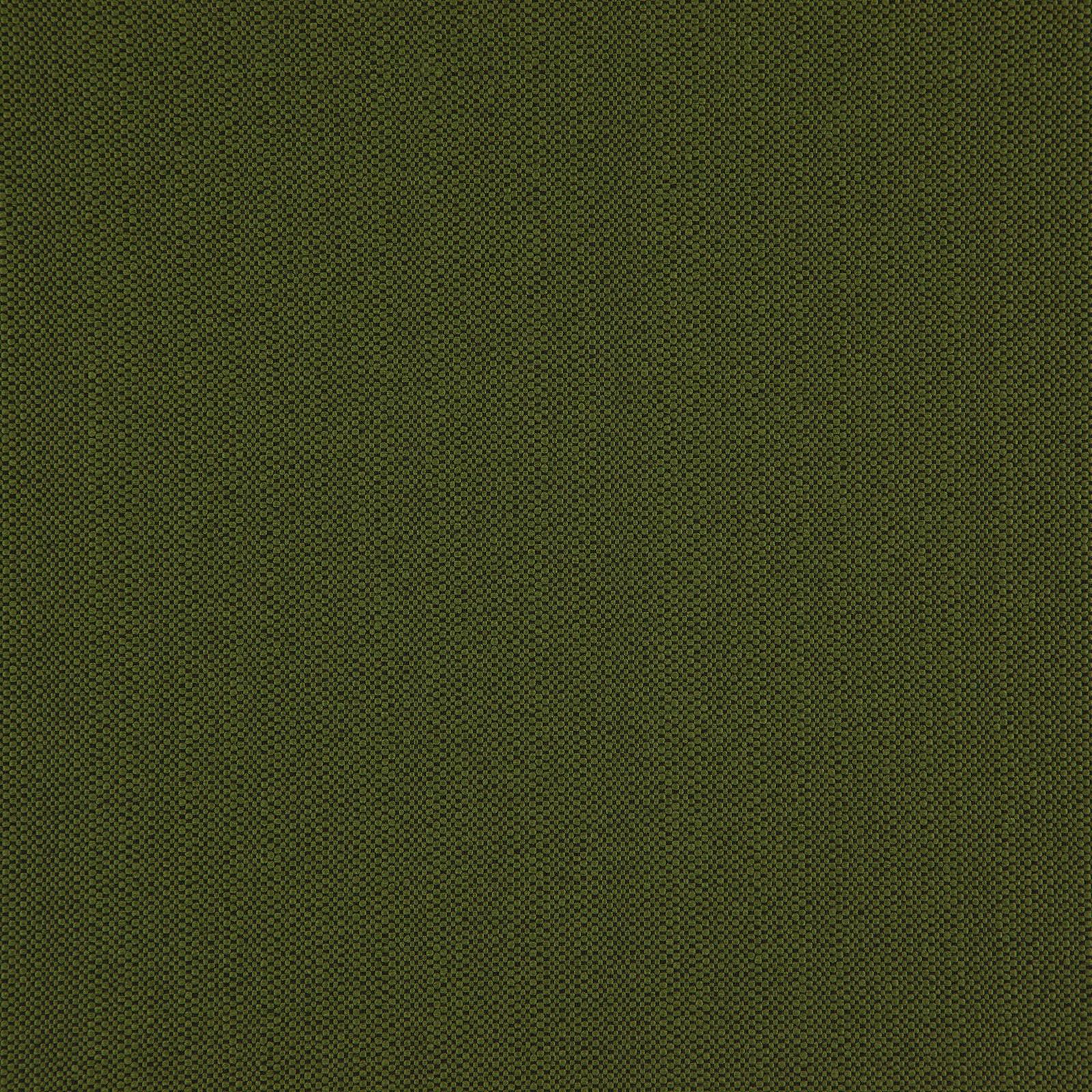 NICO – # 31 PINE