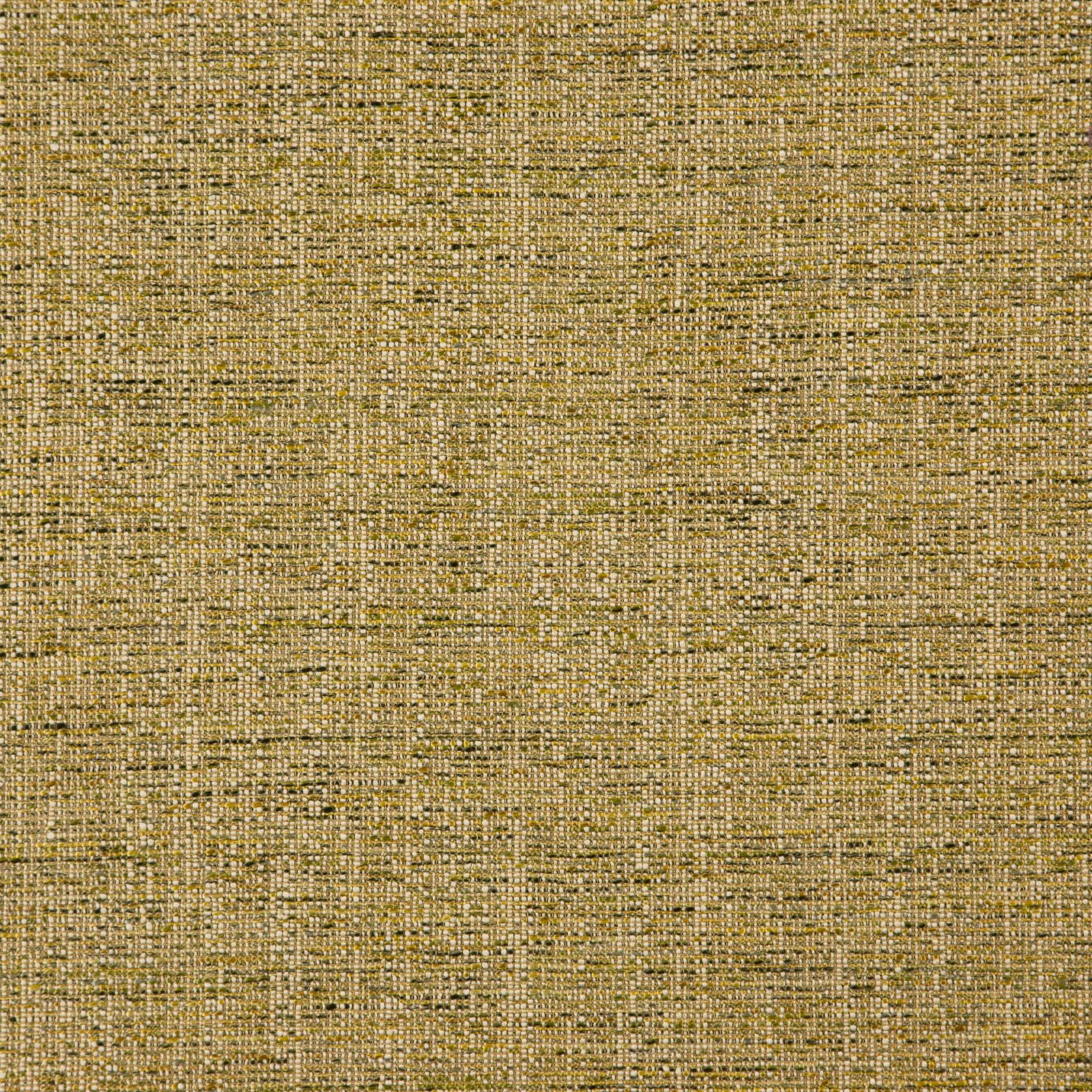 DELPHI – # 27 LEMONGRASS