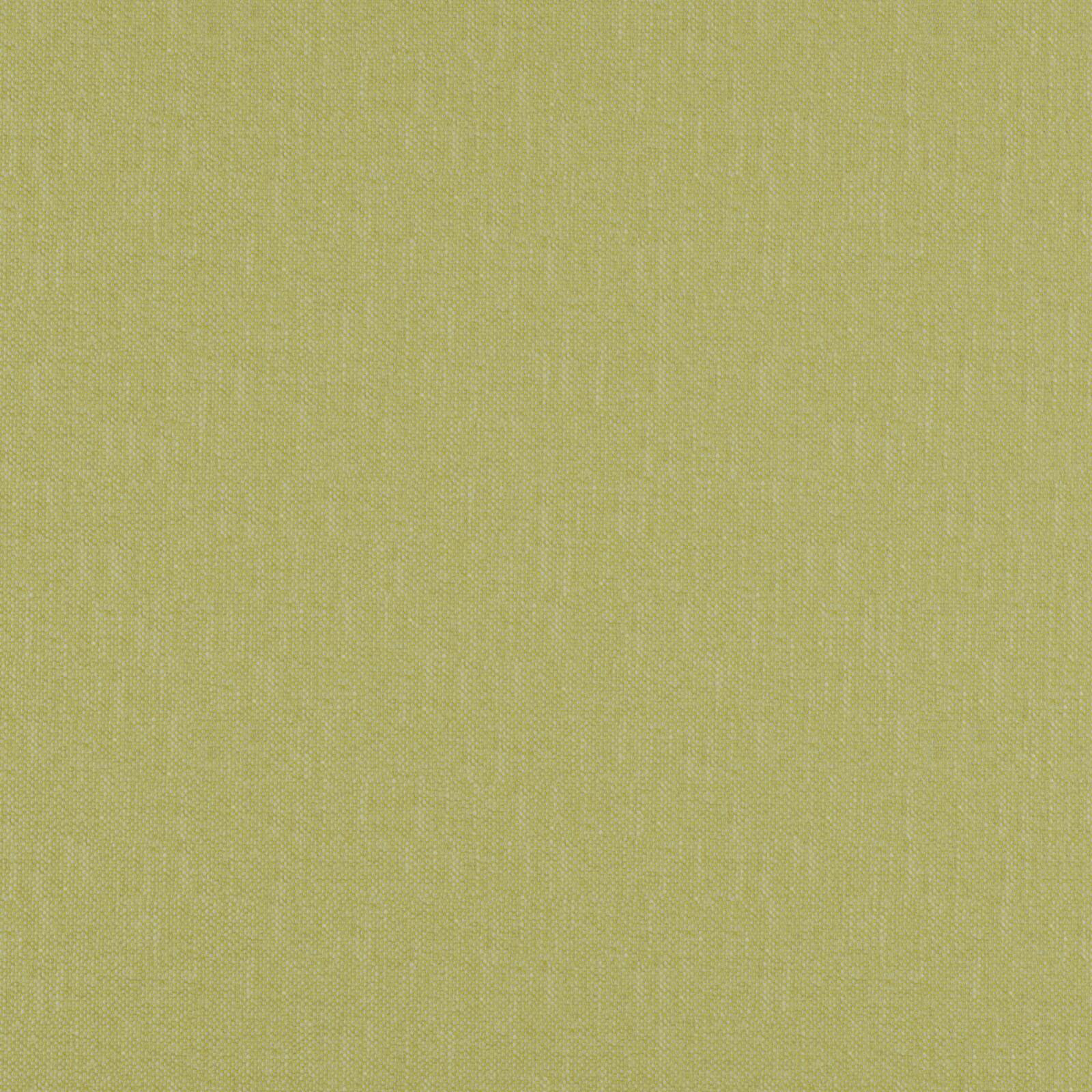 CLARISSA – # 59 LIME