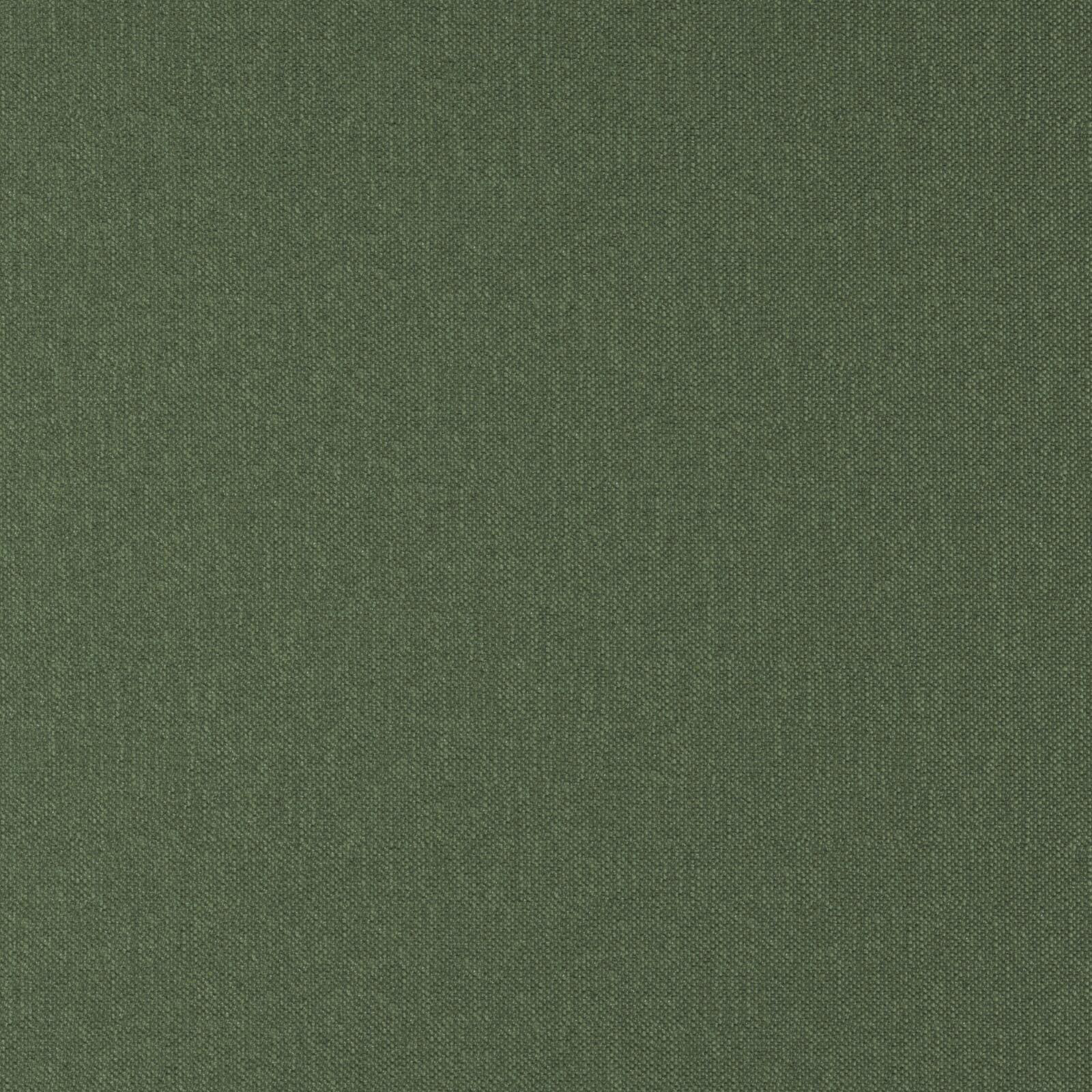 CLARISSA – # 55 BASIL