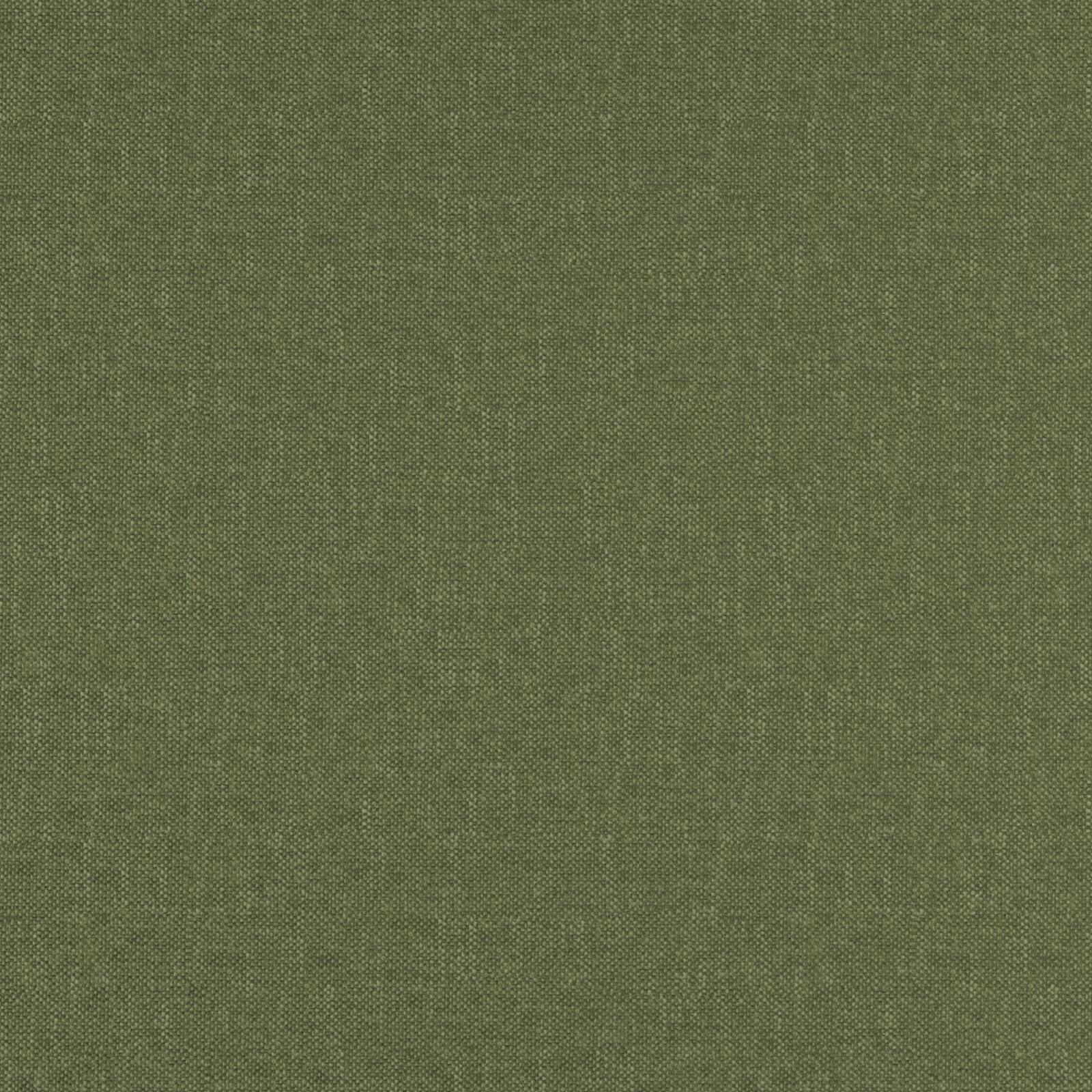 CLARISSA – # 54 PESTO