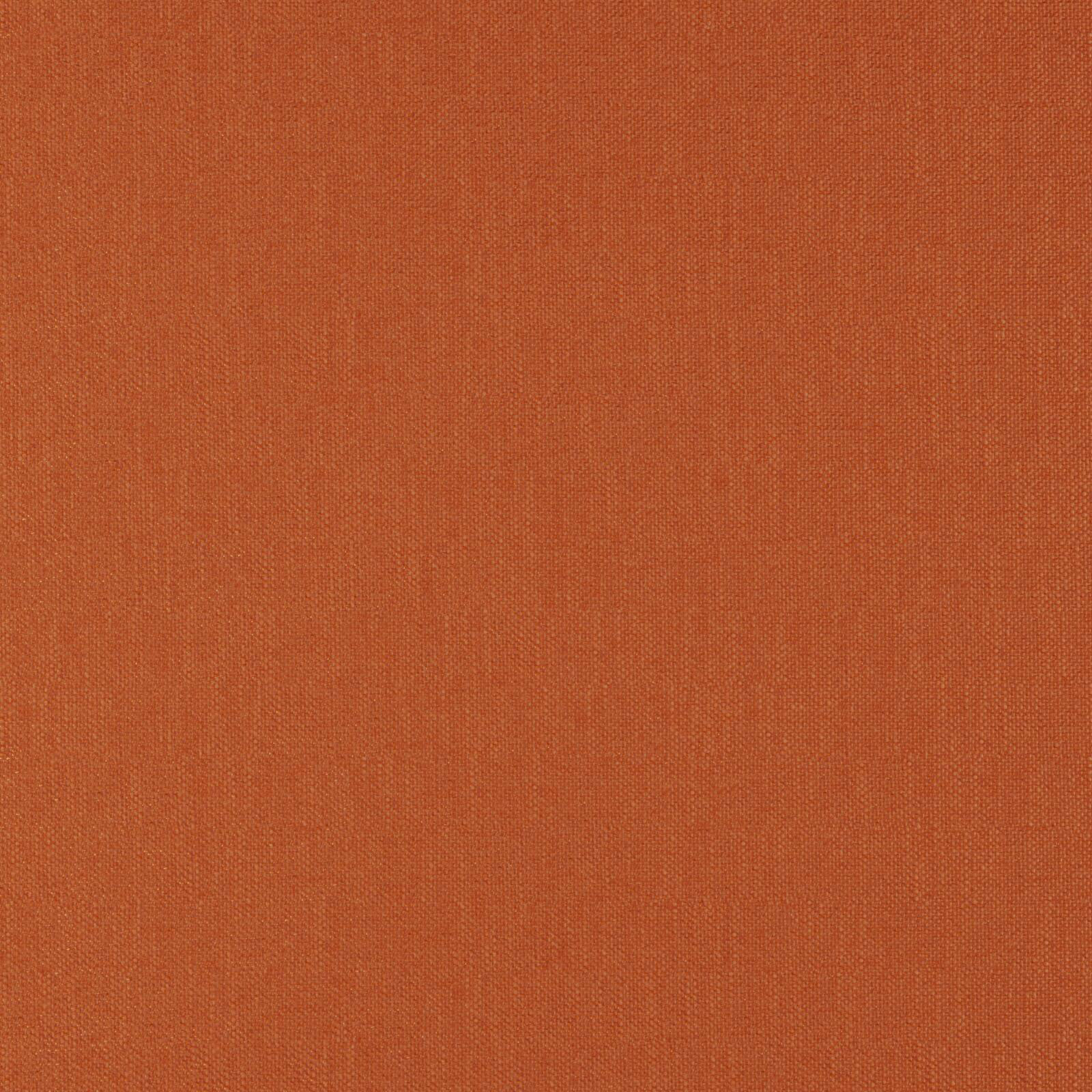 CLARISSA – # 32 CARROT