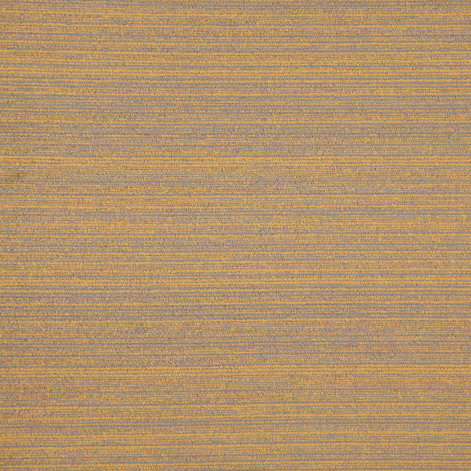 ZAMORA – # 536 APRICOT
