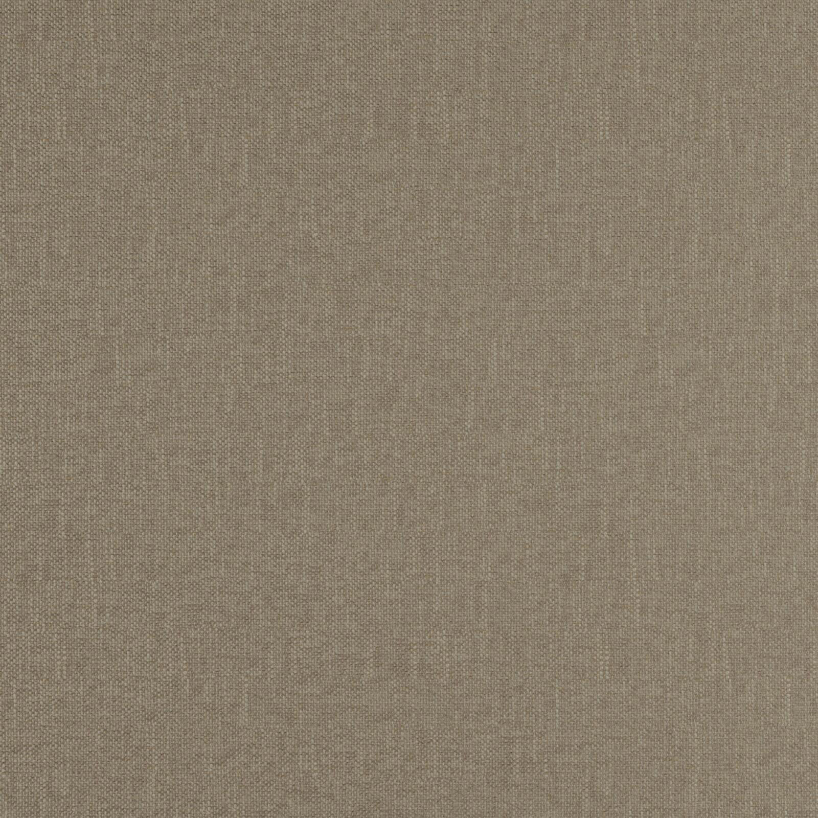 CLARISSA – # 20 FOSSIL
