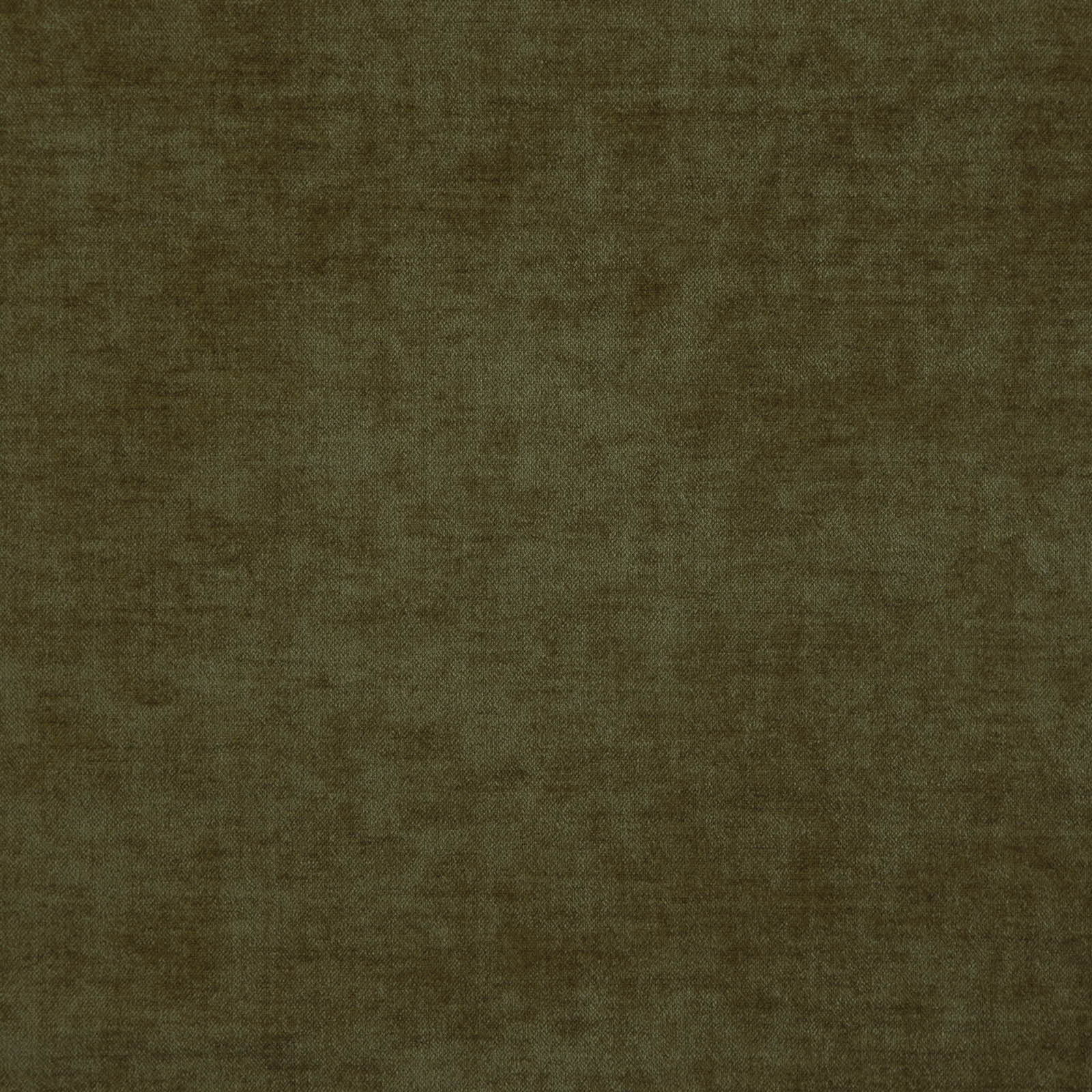 CHADWICK(NEW) – # 1639 OLIVE