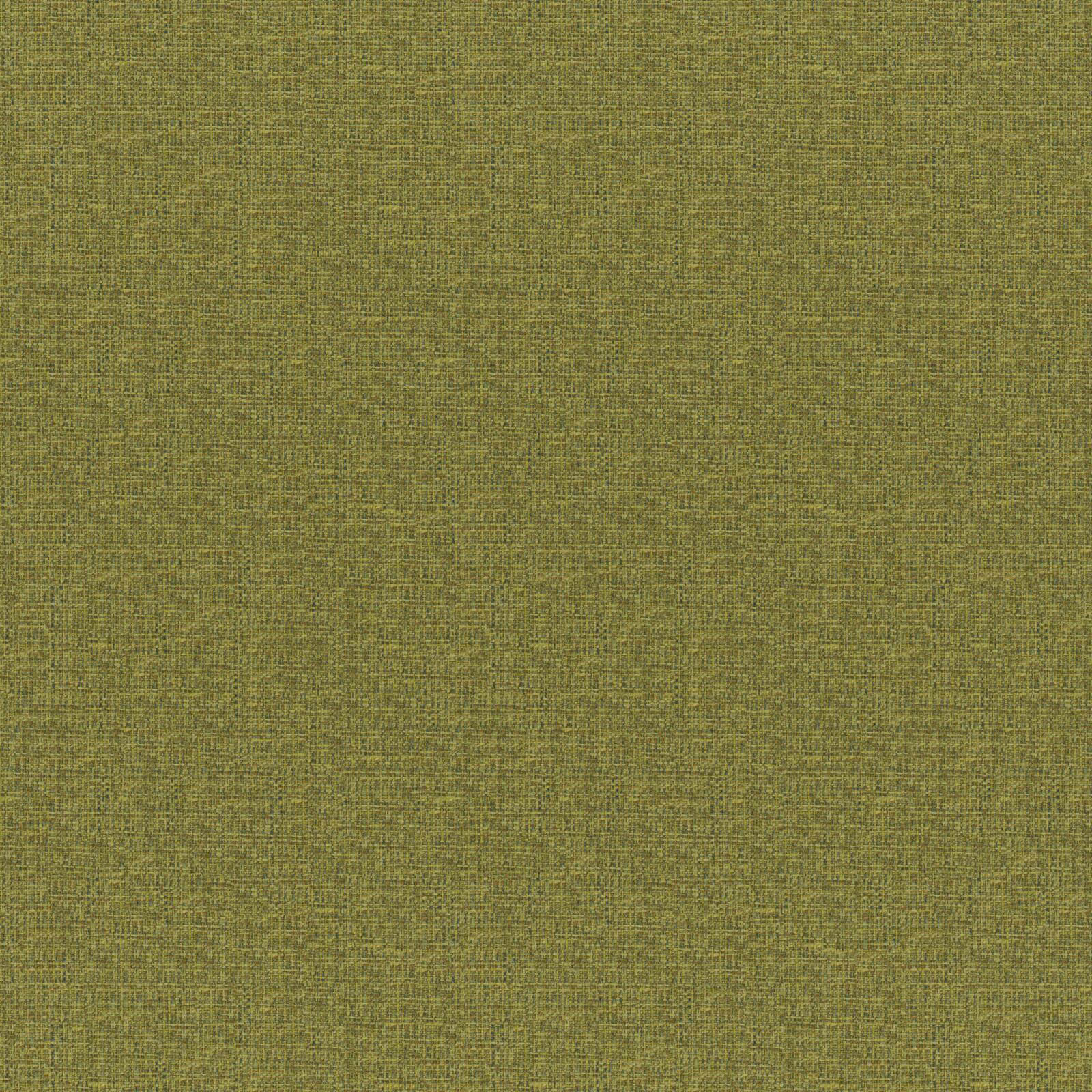 ROCKHOPPER – # 833 FERN