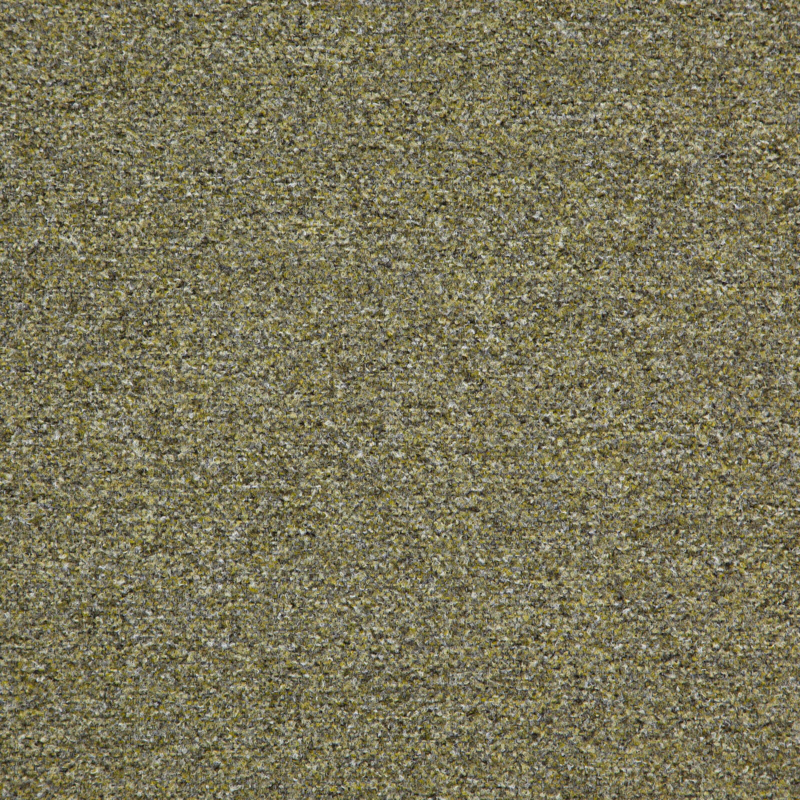 PATAGONIA – # 843 HEDGE