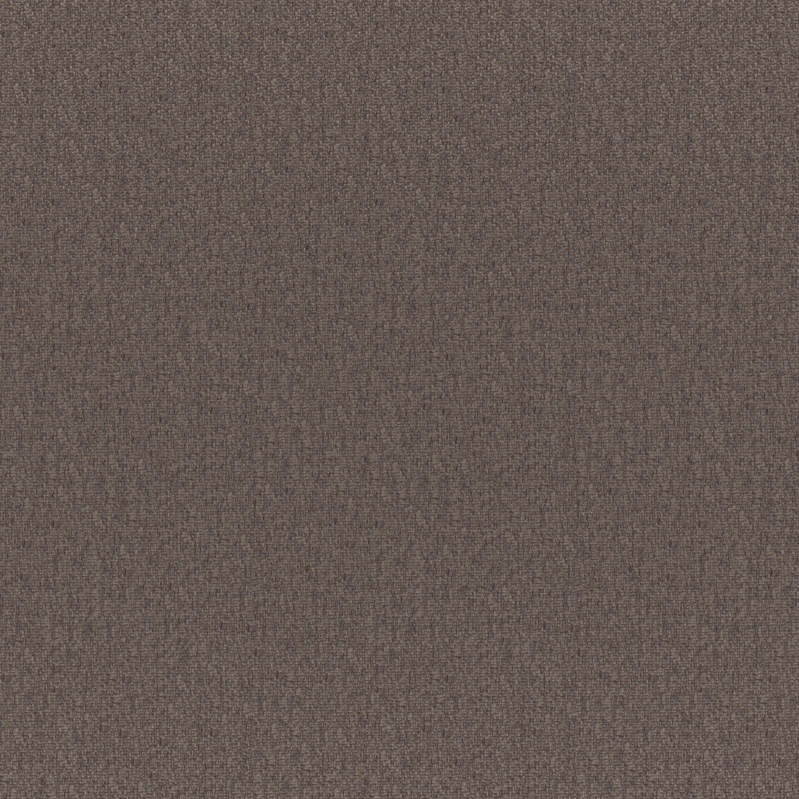 BRUNO – # 254 TRUFFLE