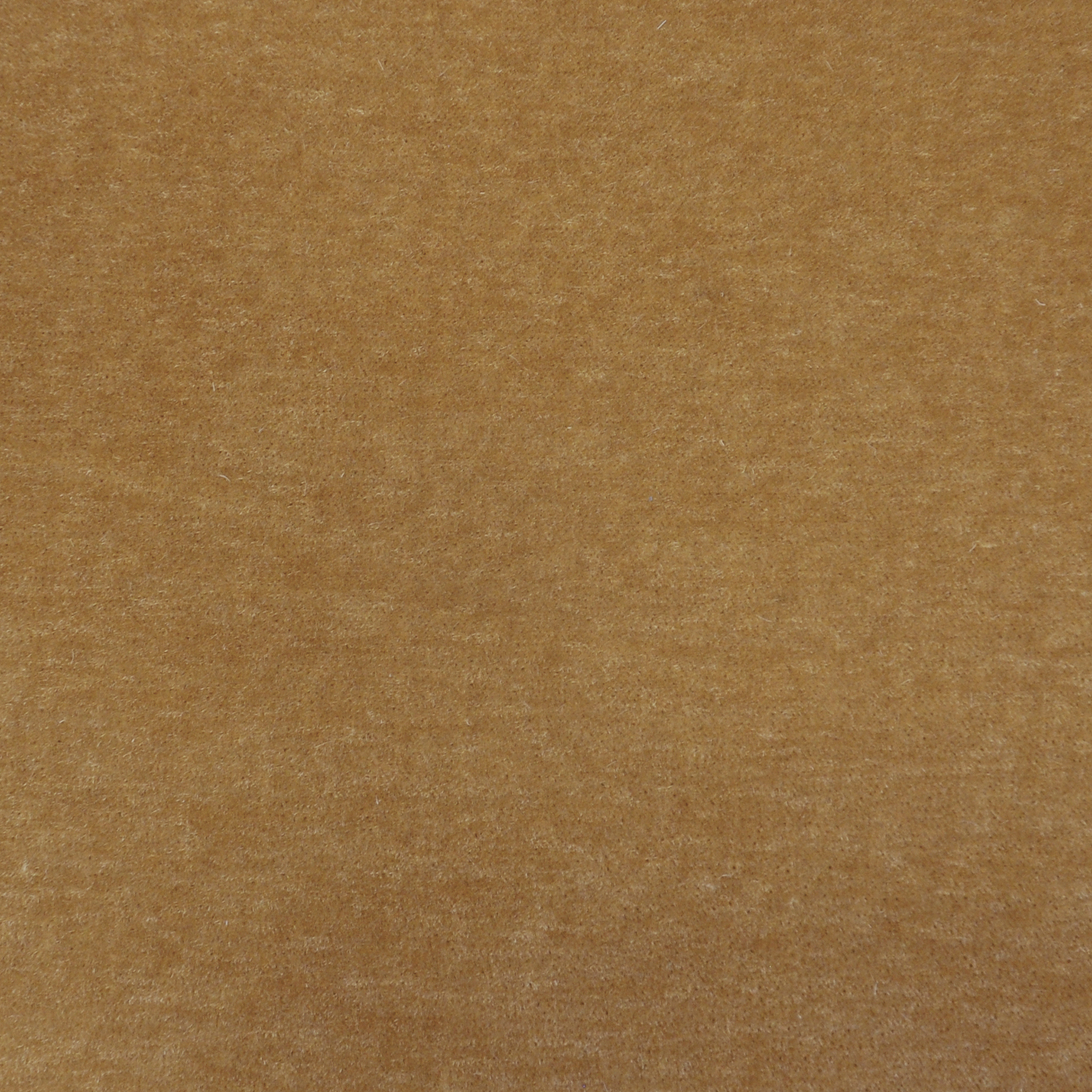 LEMAIRE – # 403 CAMEL