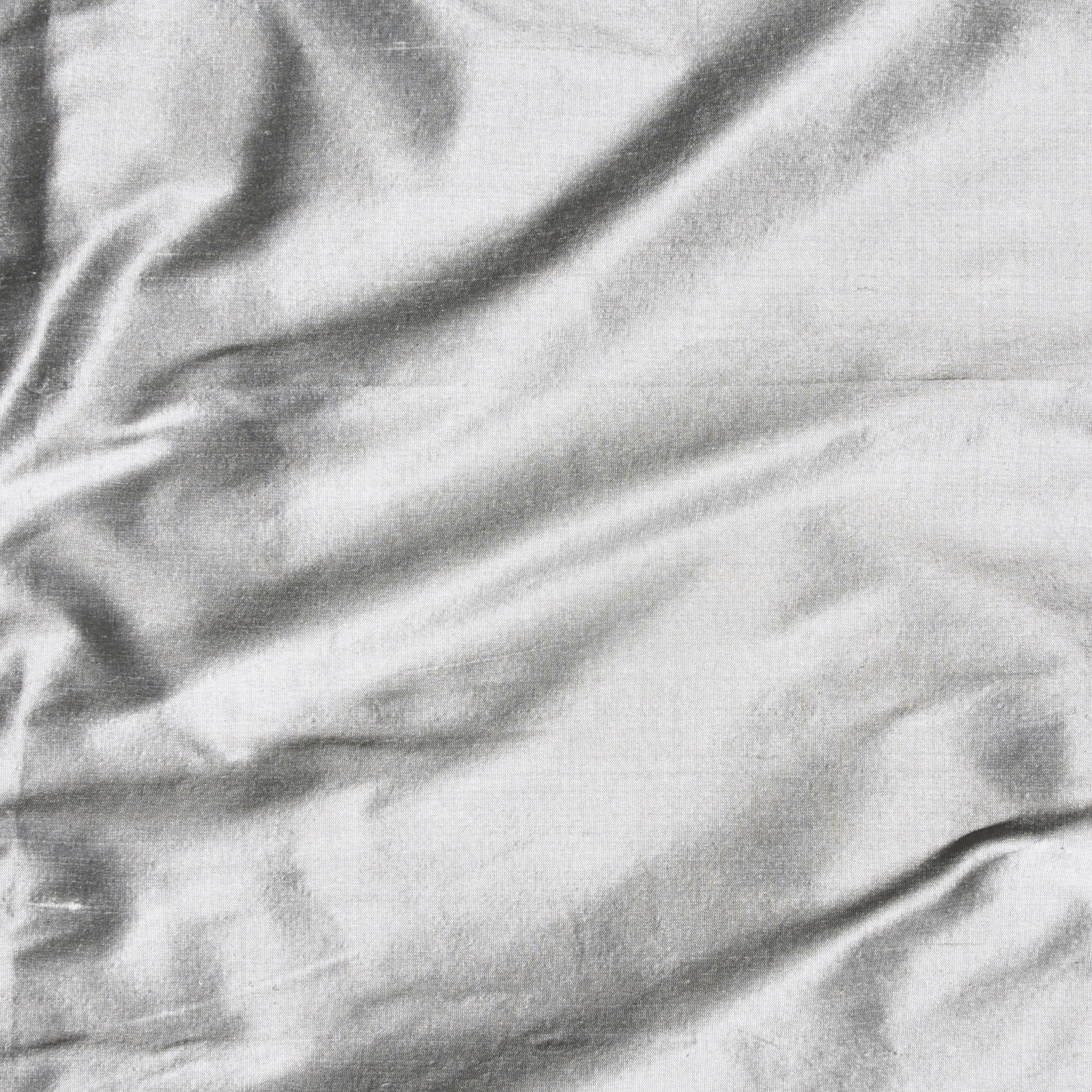 ANISHA – # 101 SILVER