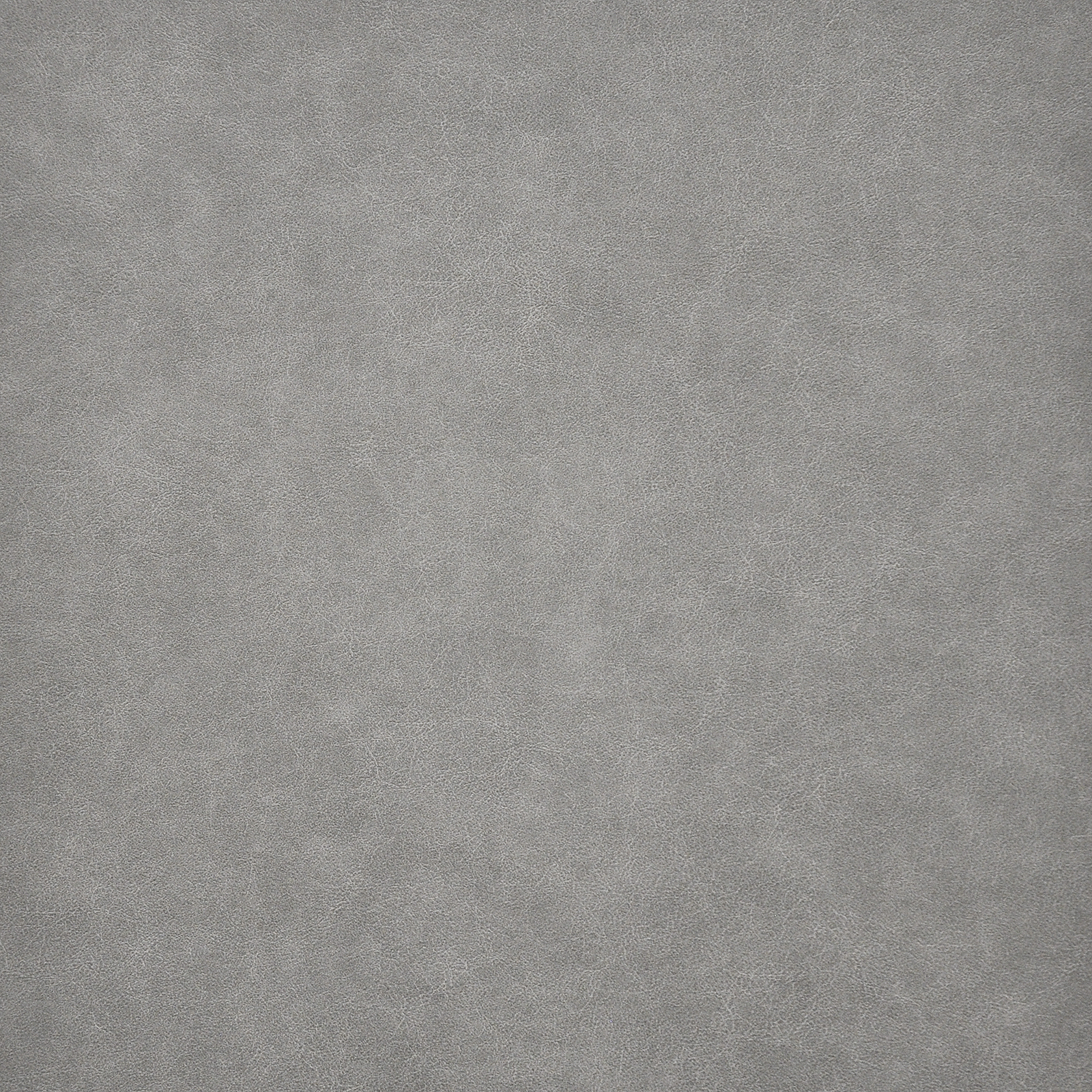 TARO – # 224 FORGE