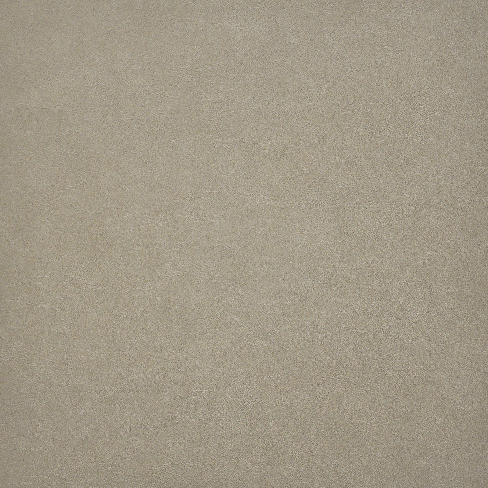 TARO – # 217 JUTE