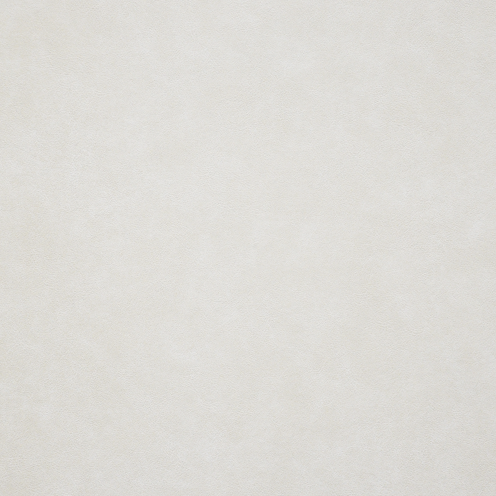 TARO – # 210 MACADAMIA