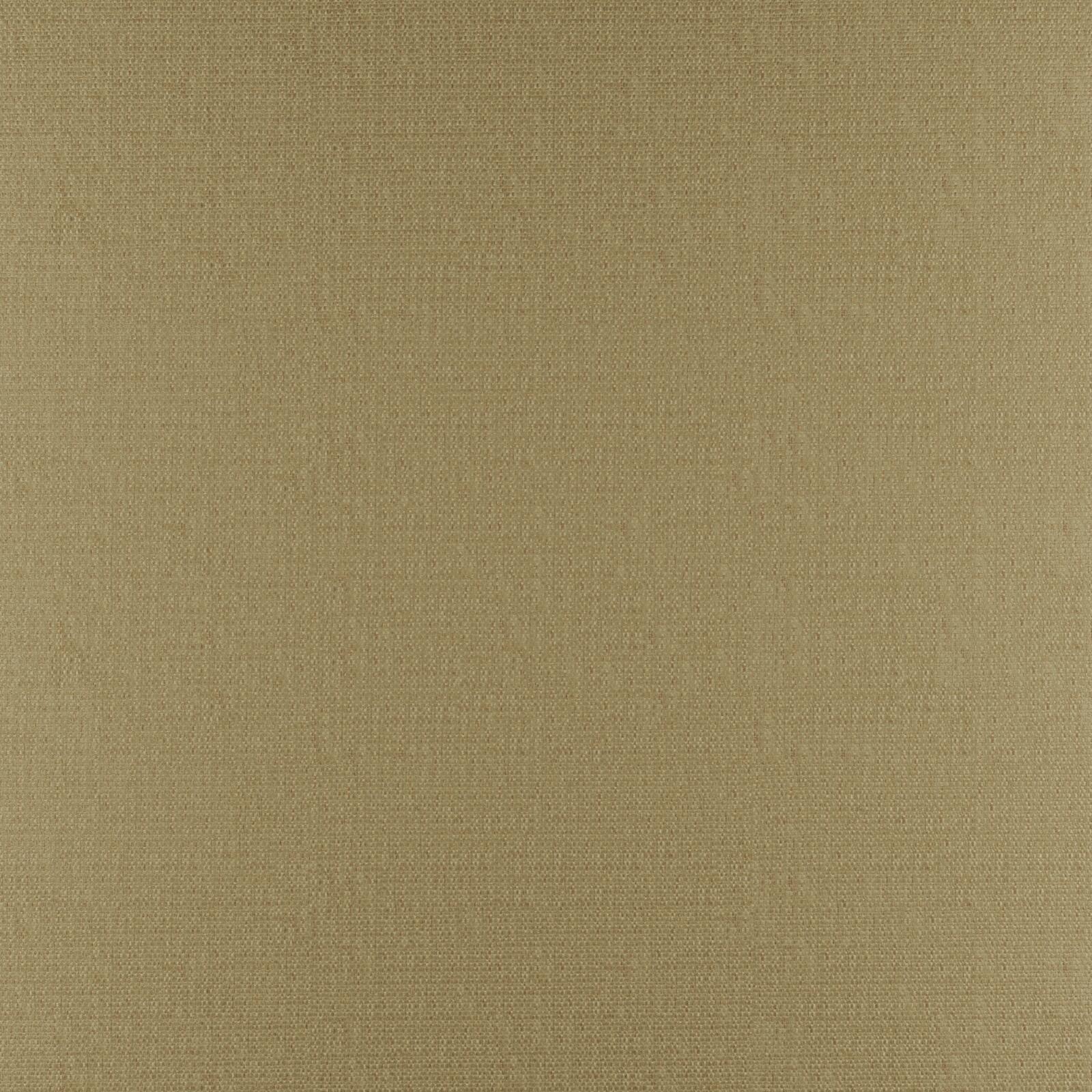 PHOBOS – # 315 CANE