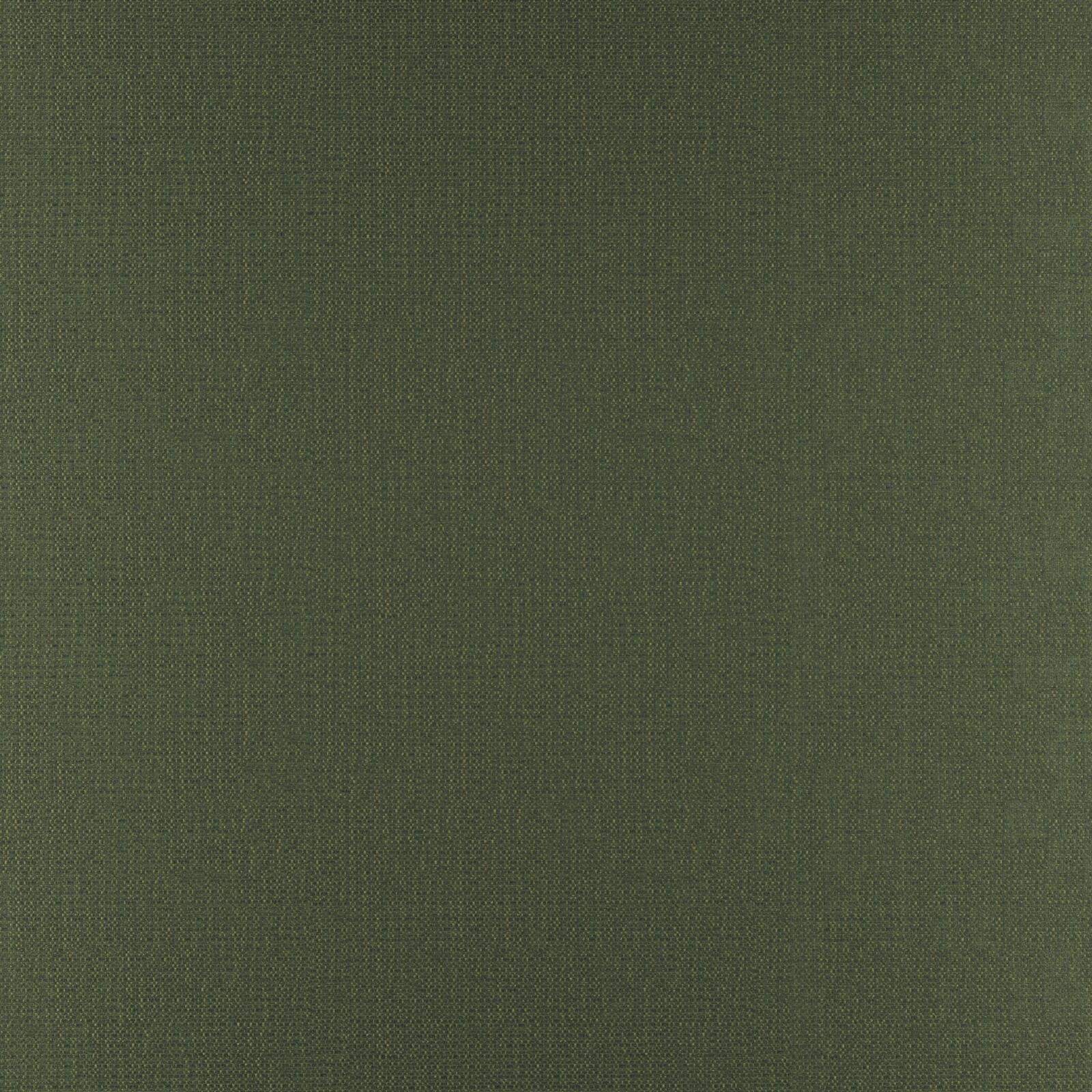 PHOBOS – # 318 CYPRESS
