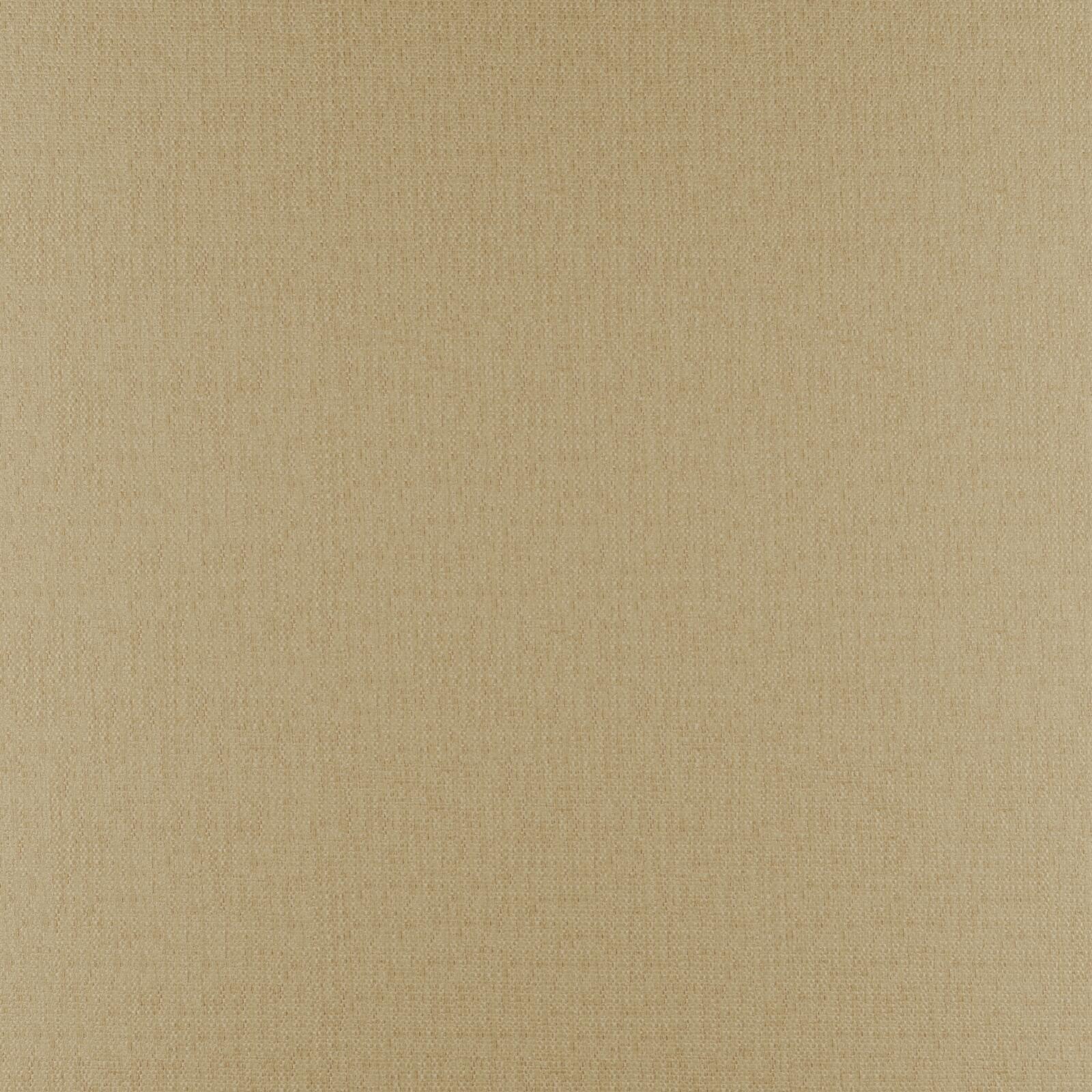 PHOBOS – # 314 CAMEL