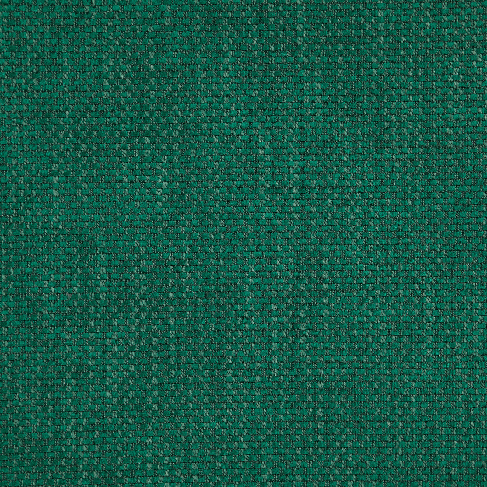 PALAZZO – # 25 FROG