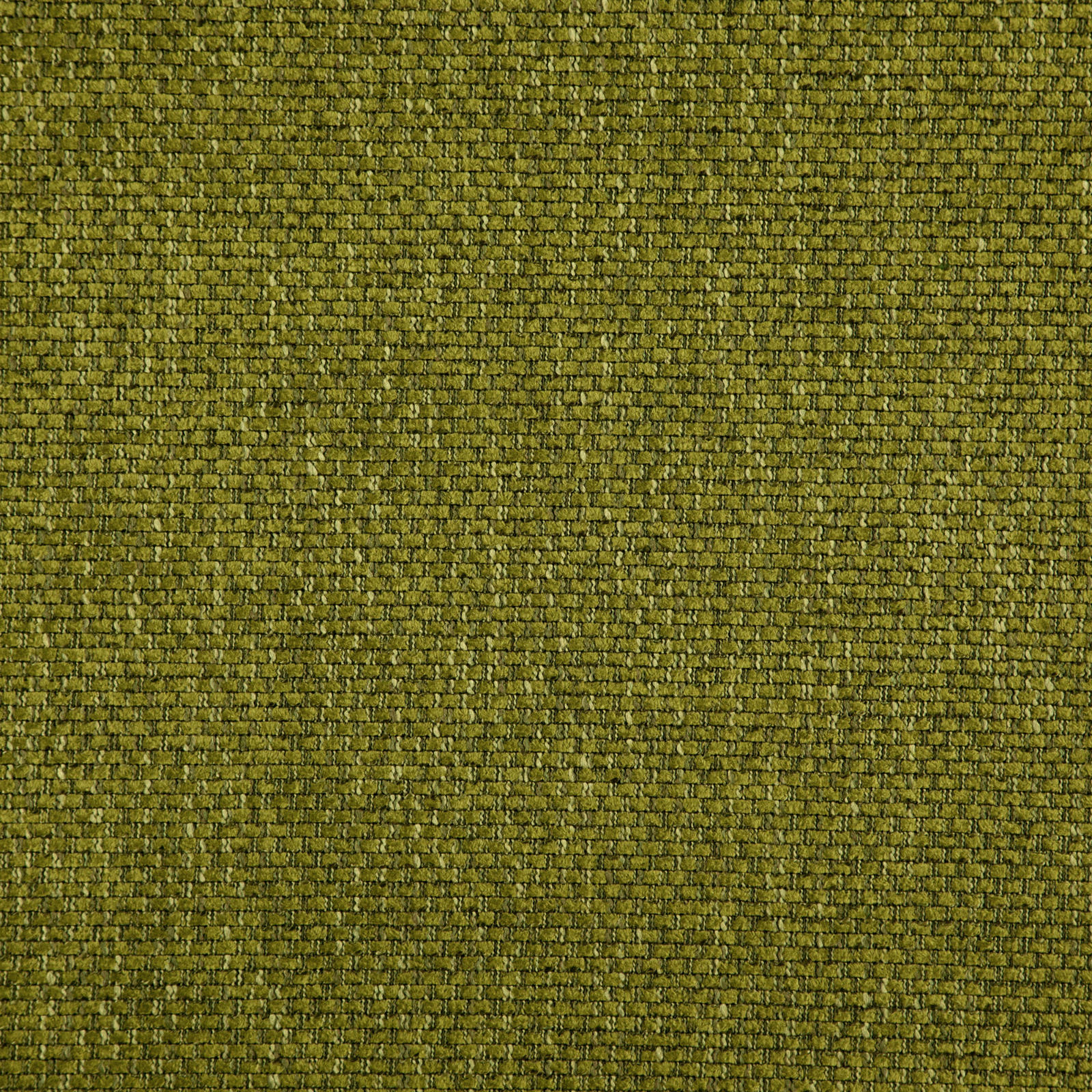 PALAZZO – # 23 MOSS