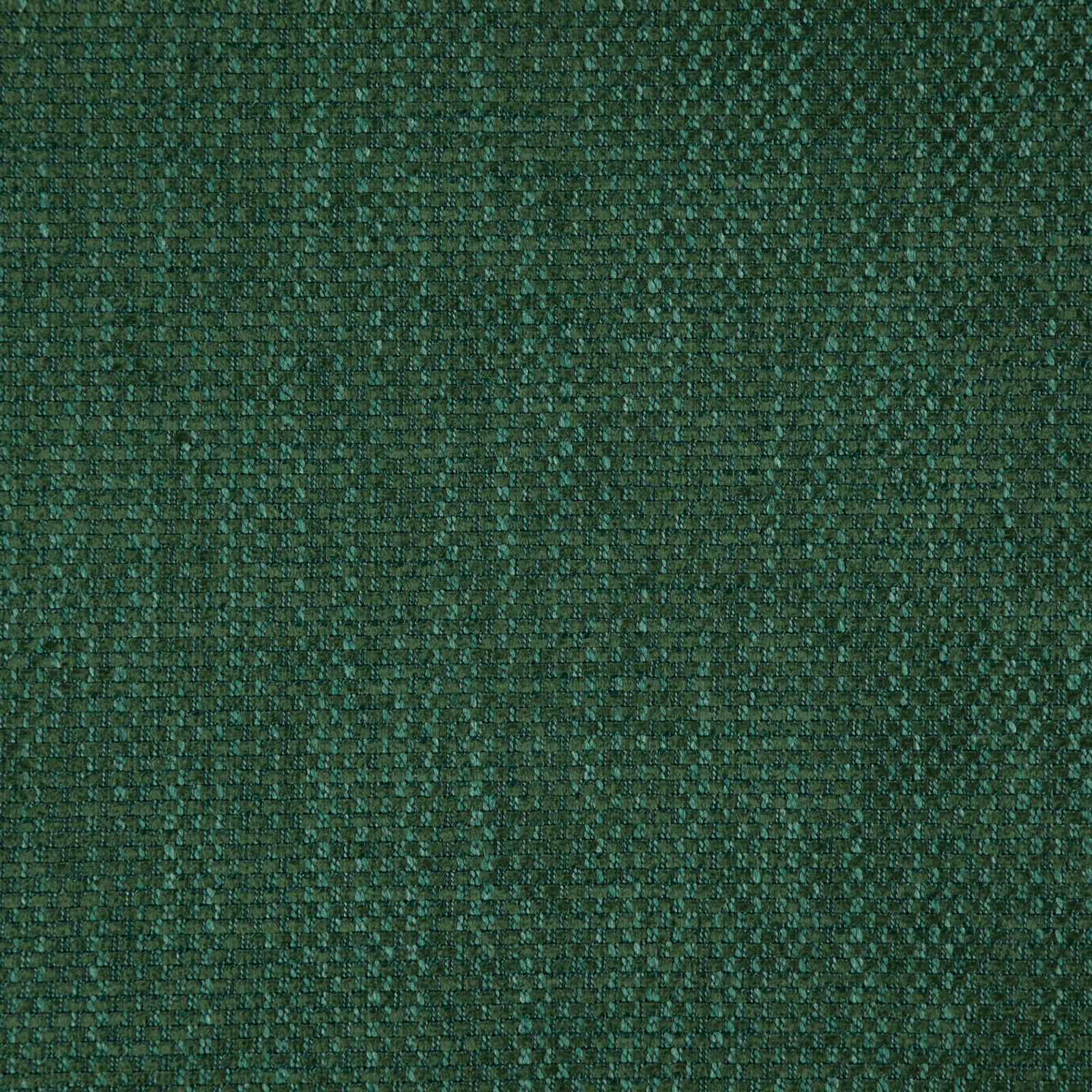 PALAZZO – # 24 TURTLE