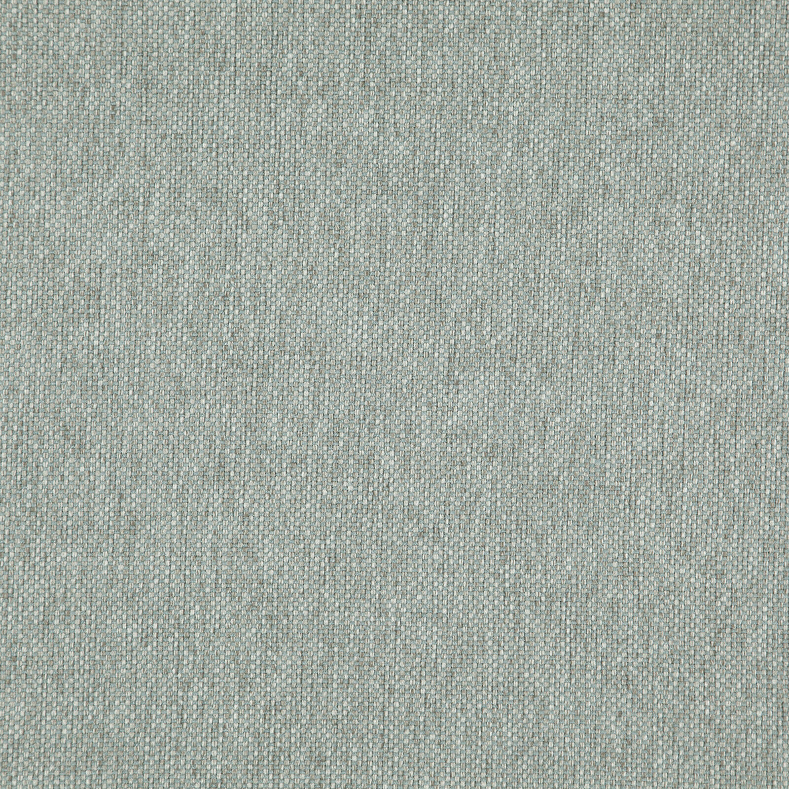 LIGHT YEAR – # 222 BOTANICAL