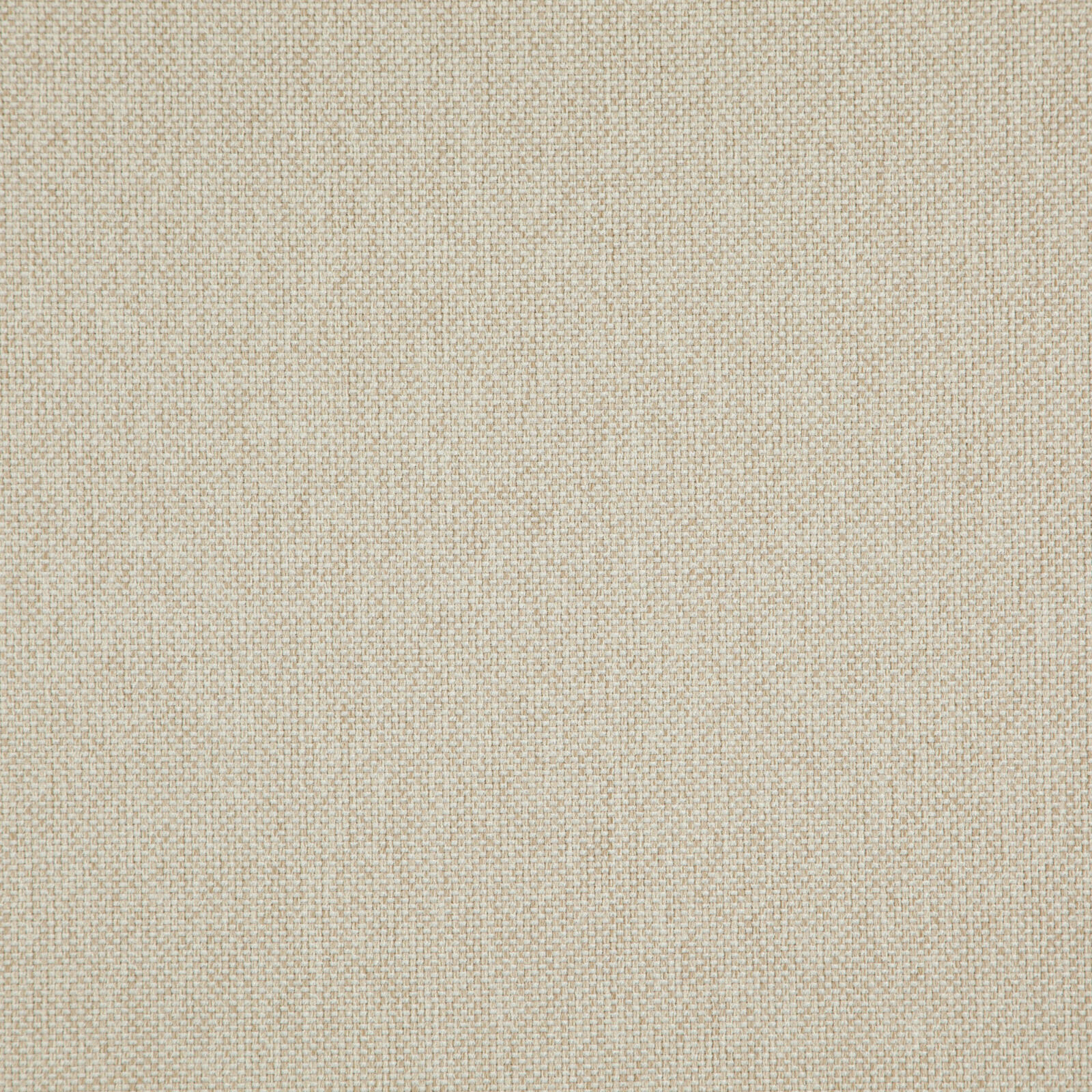 LIGHT YEAR – # 219 NOUGAT