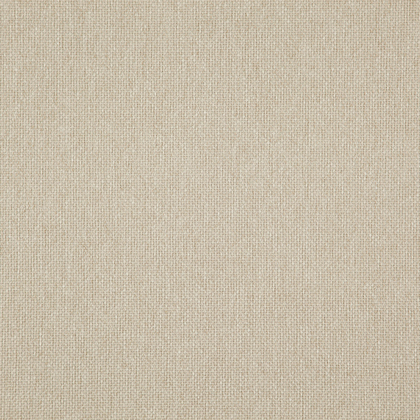 LIGHT YEAR – # 220 RAFFIA