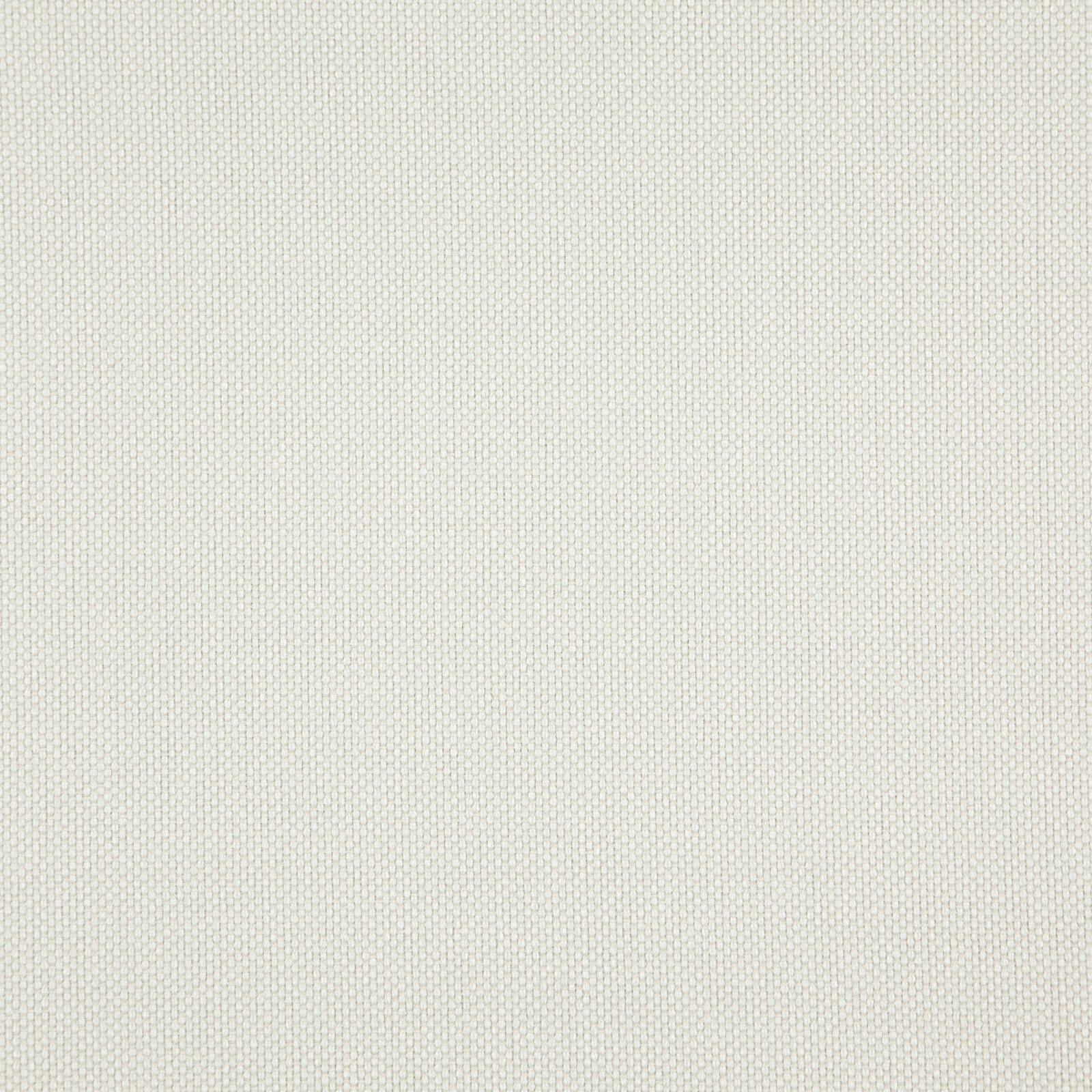 LIGHT YEAR – # 217 PARCHMENT