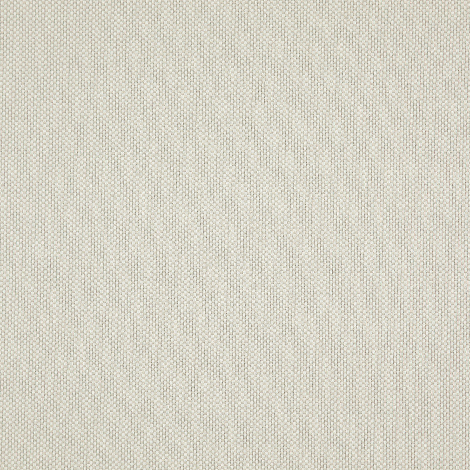 LIGHT YEAR – # 218 ALMOND