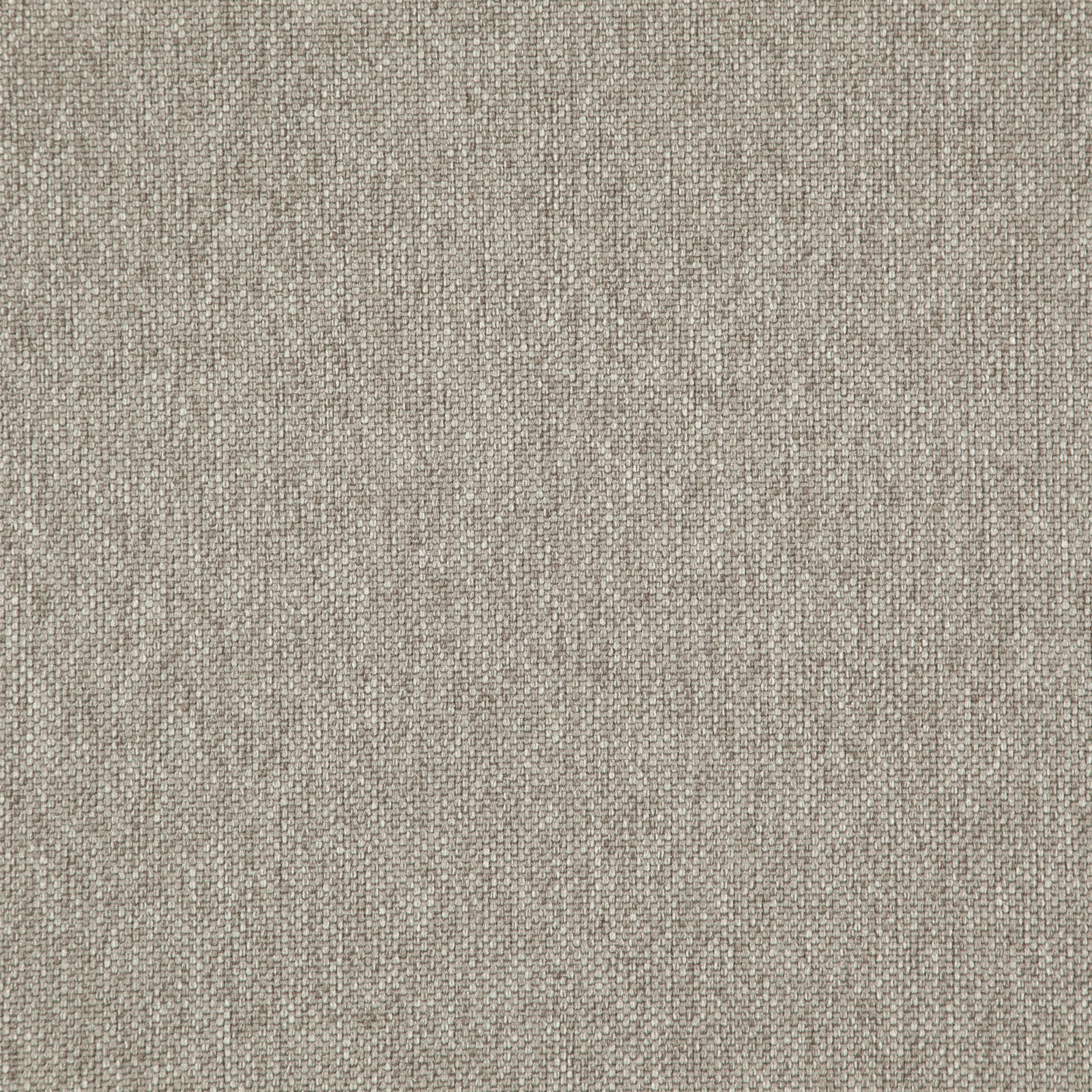 LIGHT YEAR – # 208 BAMBOO