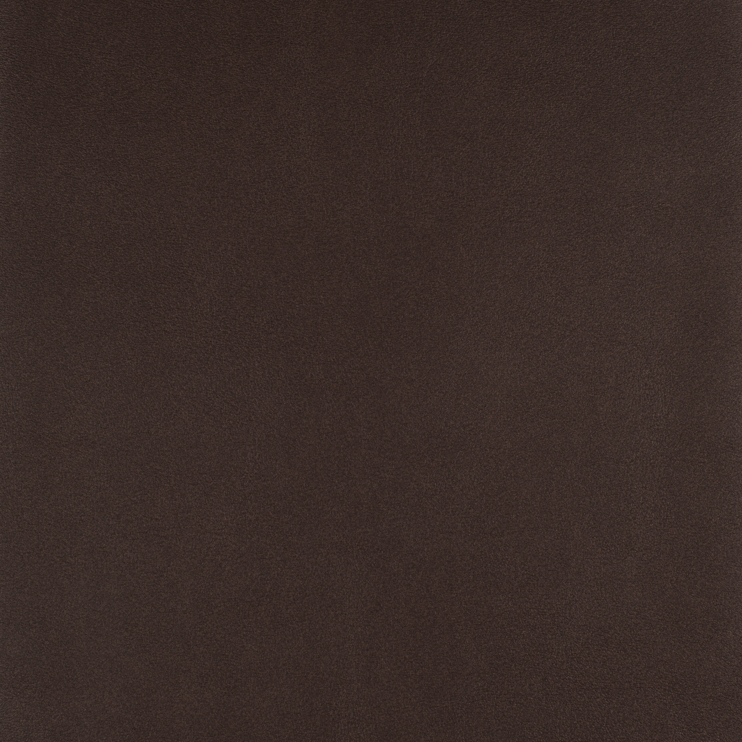 ICON – # 796 SYRAH
